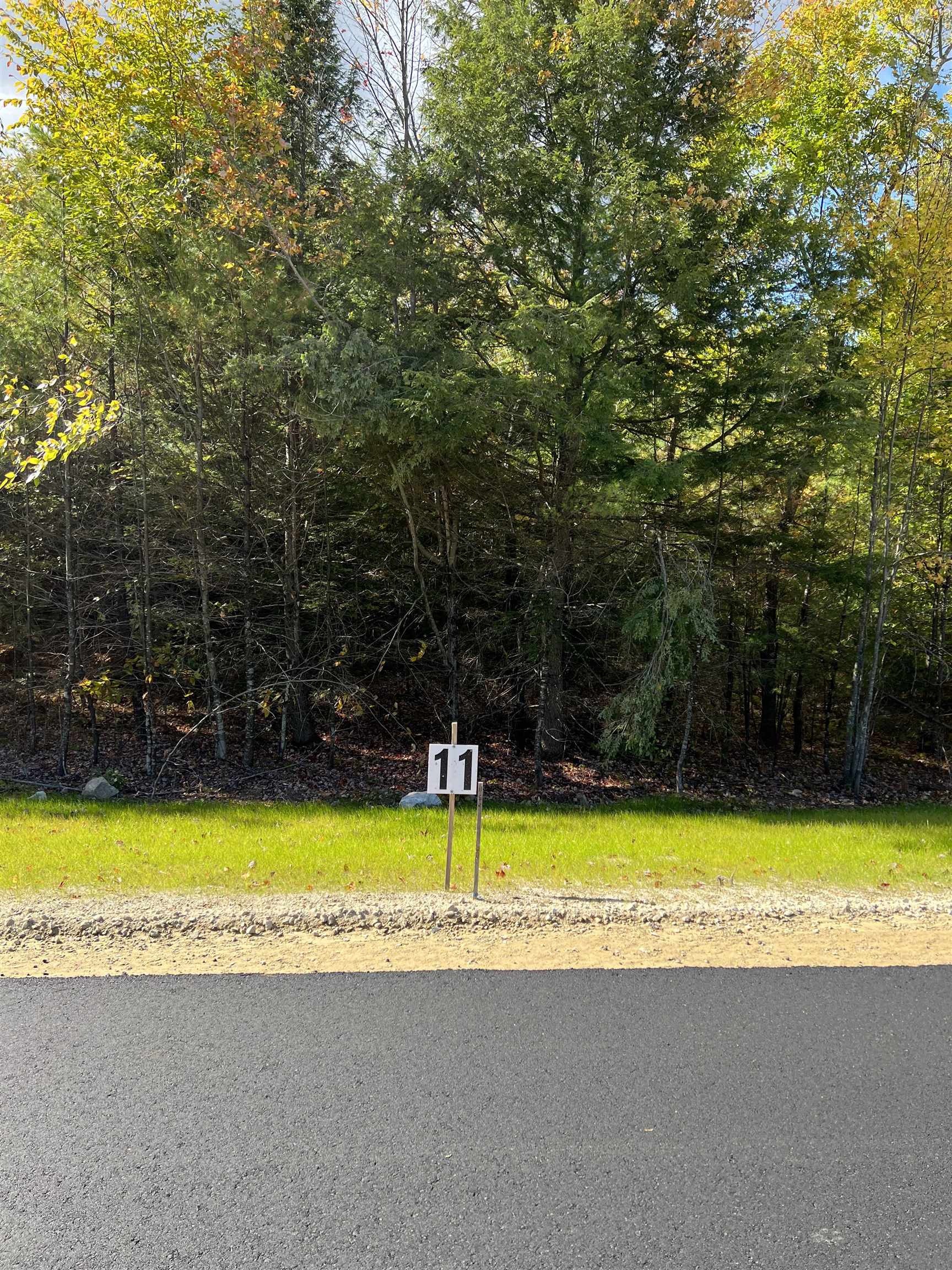 Homes for sale in Ossipee, NH | 11 Wellington Ct, Ossipee, NH 03864 | MLS# 5034180