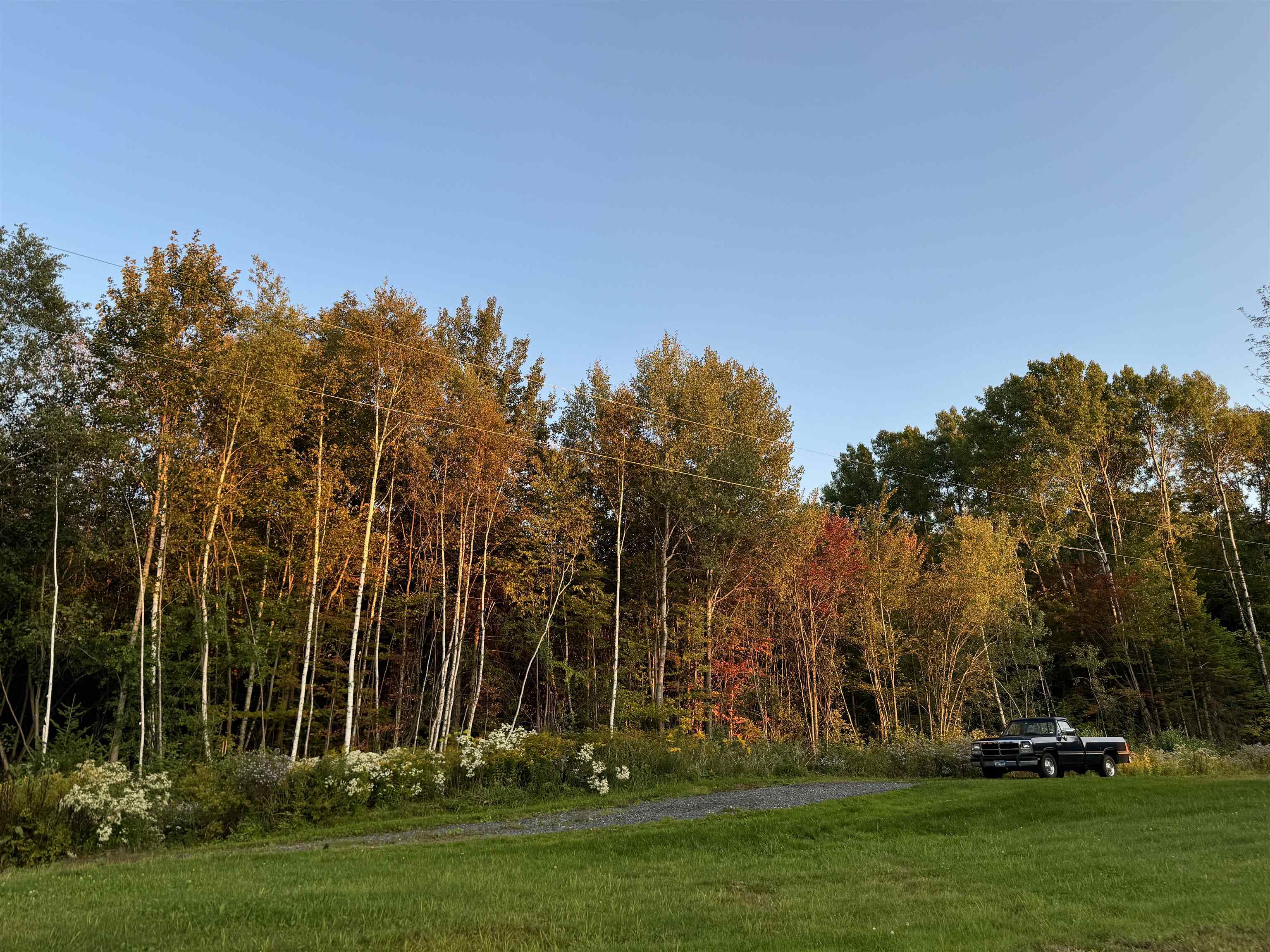 Homes for sale in Williamstown, VT | 145 Therriault Hl, Williamstown, VT 05679 | MLS# 5034183