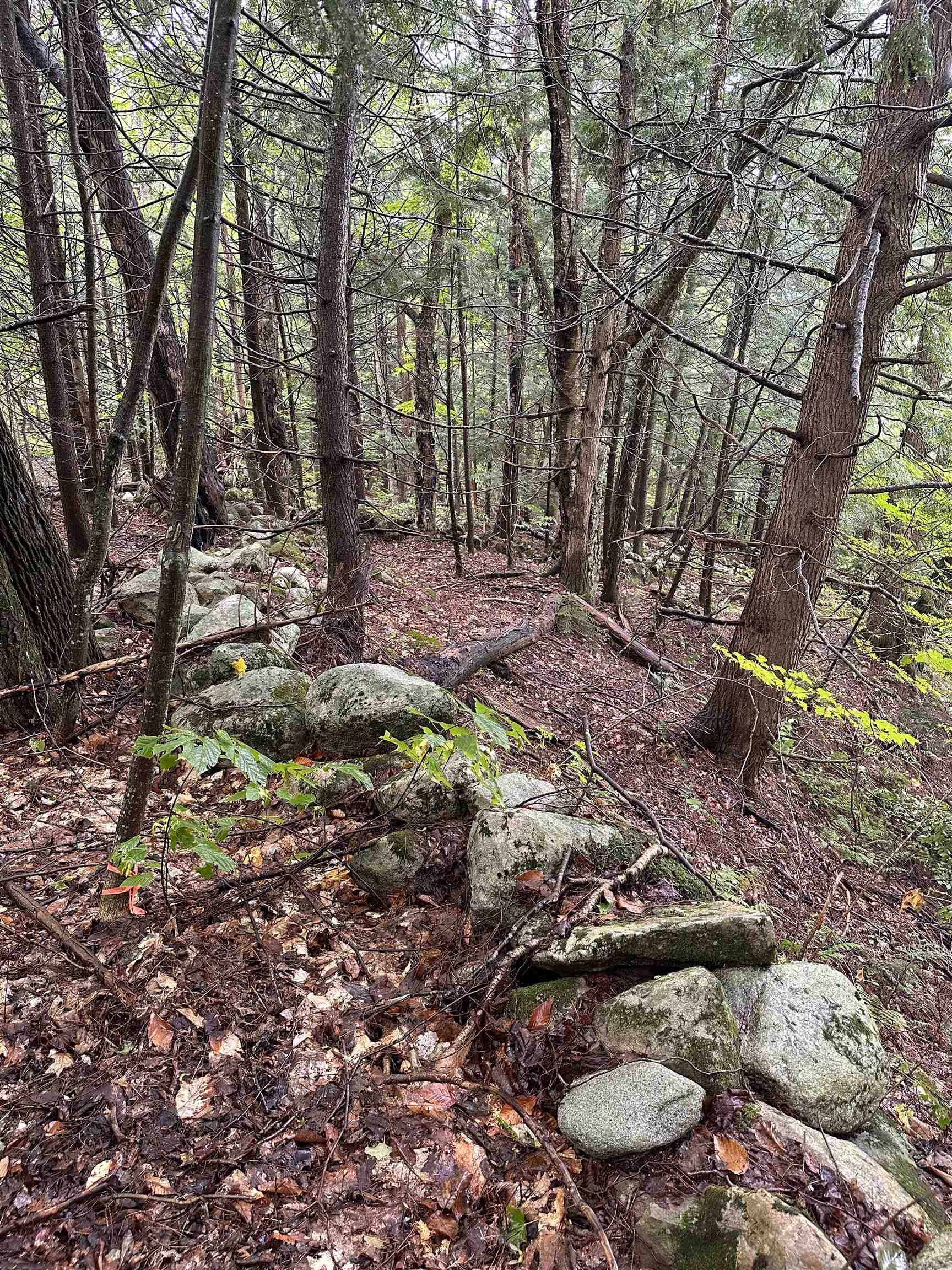 Homes for sale in Williamstown, VT | 145 Therriault Hl, Williamstown, VT 05679 | MLS# 5034183