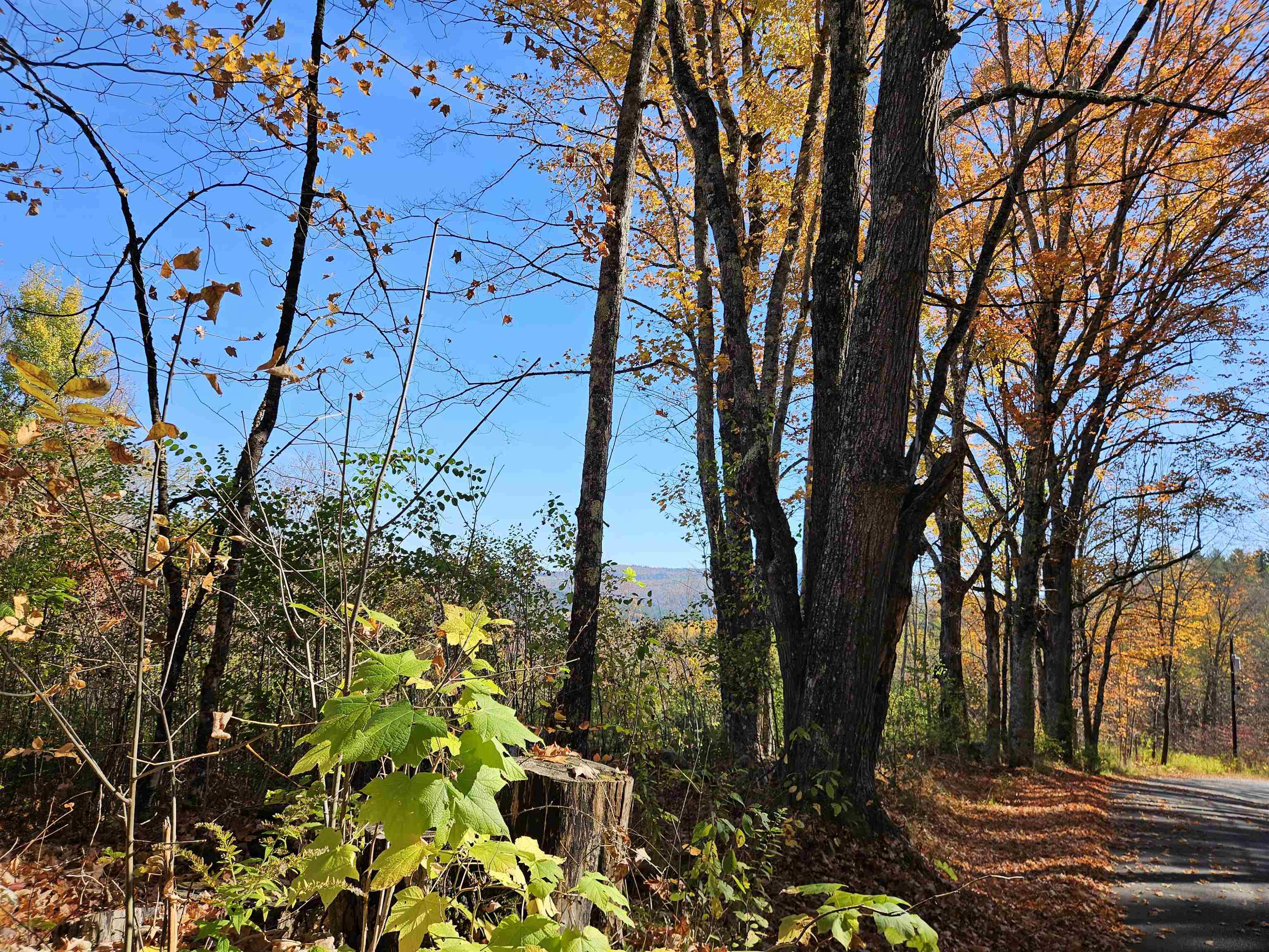Homes for sale in Sugar Hill, NH | 324 Crane Hill Rd, Sugar Hill, NH 03486 | MLS# 5034286