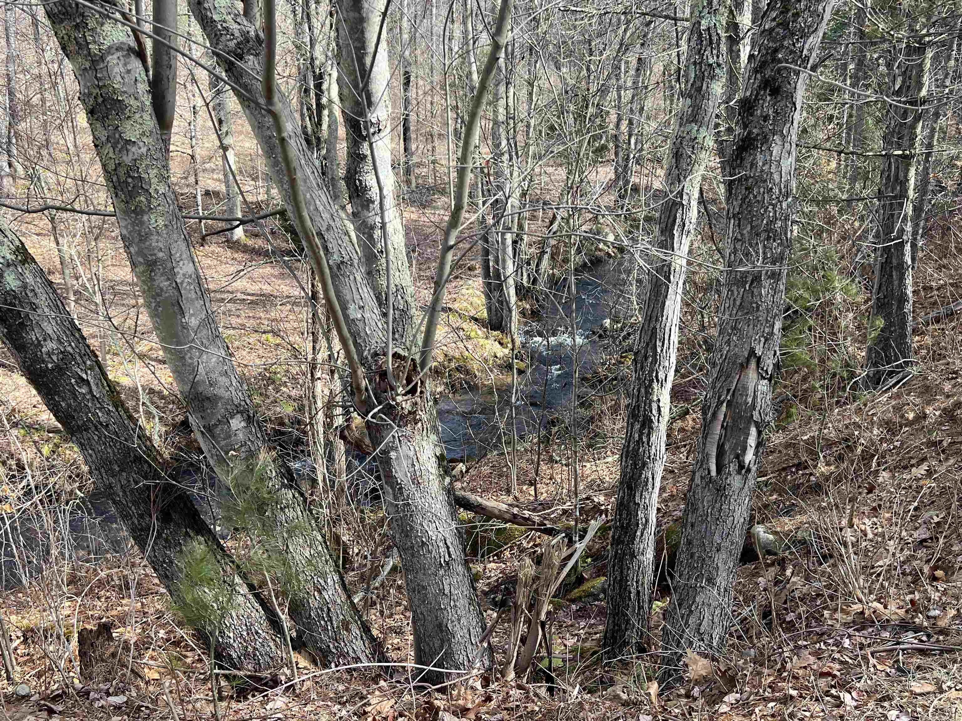 Homes for sale in Winchester, NH | 7 Lake Shore Dr, Winchester, NH 03470 | MLS# 5034563