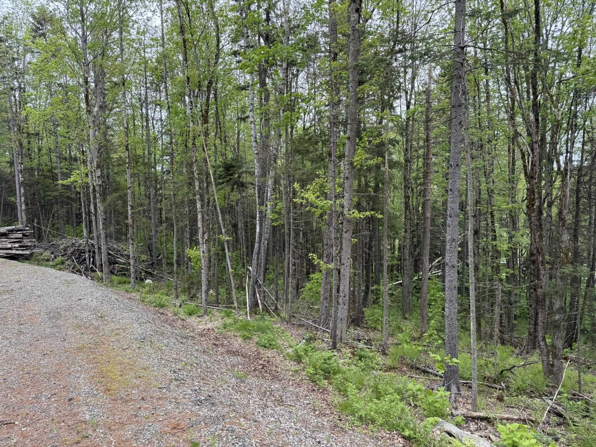 Homes for sale in Wilmington, VT | Lot 4 Ghastly Job Way, Wilmington, VT 05363 | MLS# 5034624