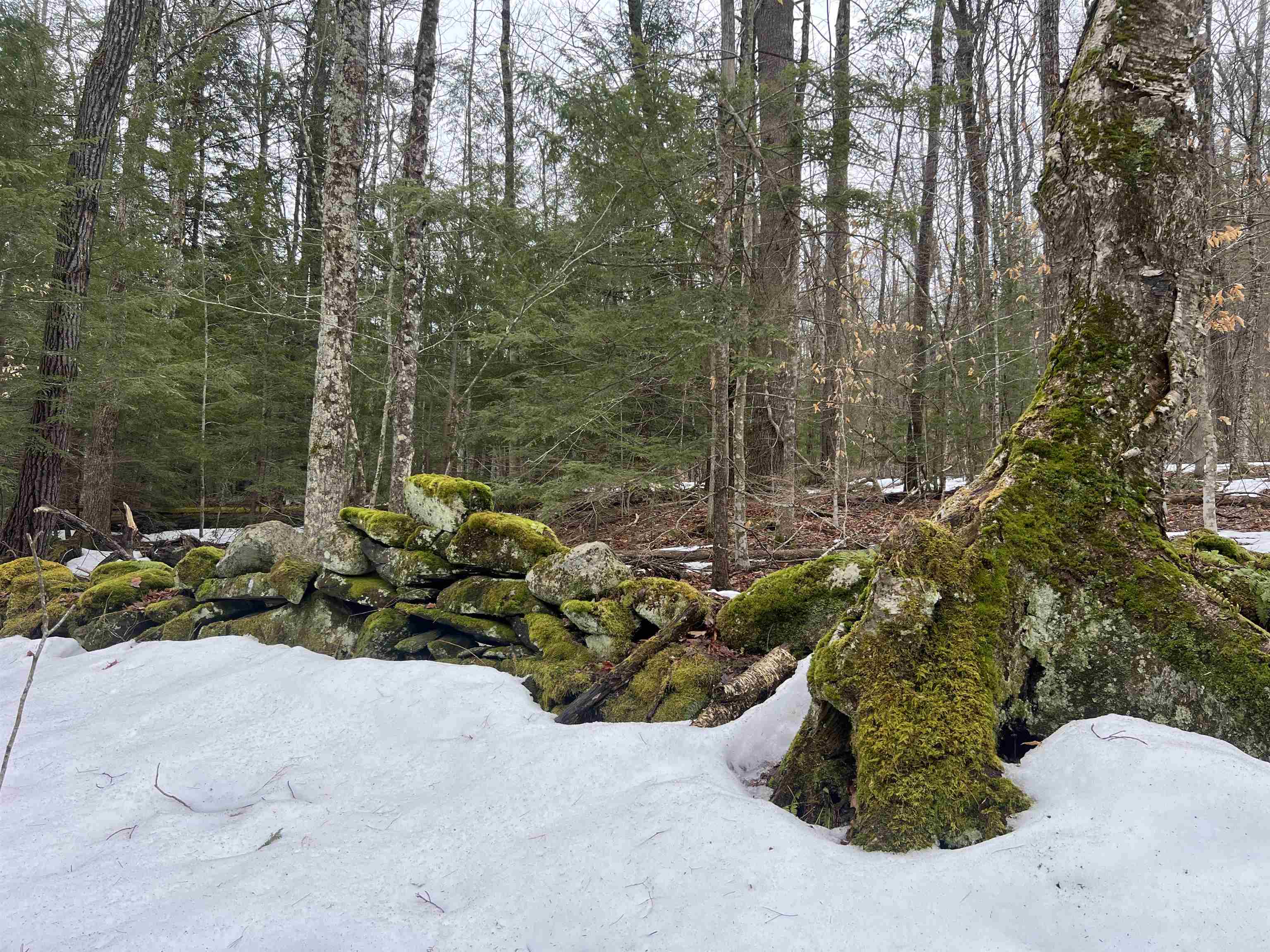 WESTMINSTER VT LAND  for sale $$50,000 | 3.6 Acres  | Price Per Acre $0