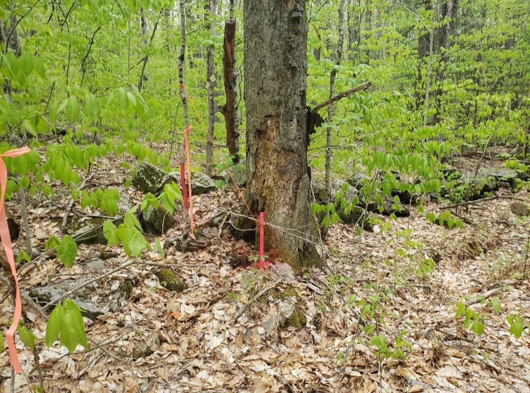 KEENE NH Land / Acres for sale