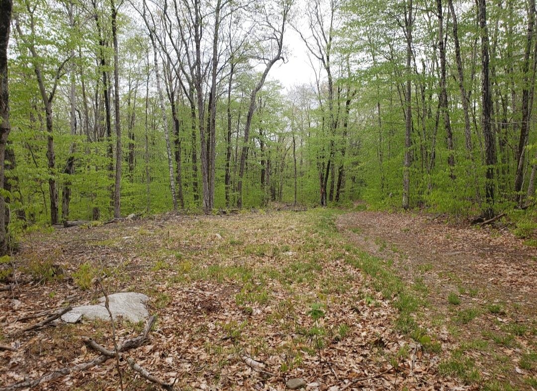 Homes for sale in Keene, NH | 0 Old Gilsum Rd, Keene, NH 03431 | MLS# 5034729