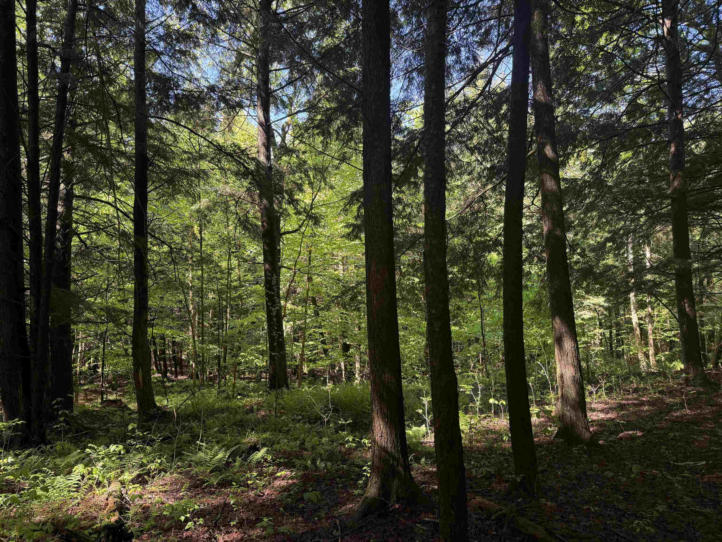 Homes for sale in Johnson, VT | Tbd Plot Rd, Johnson, VT 05656 | MLS# 5034740