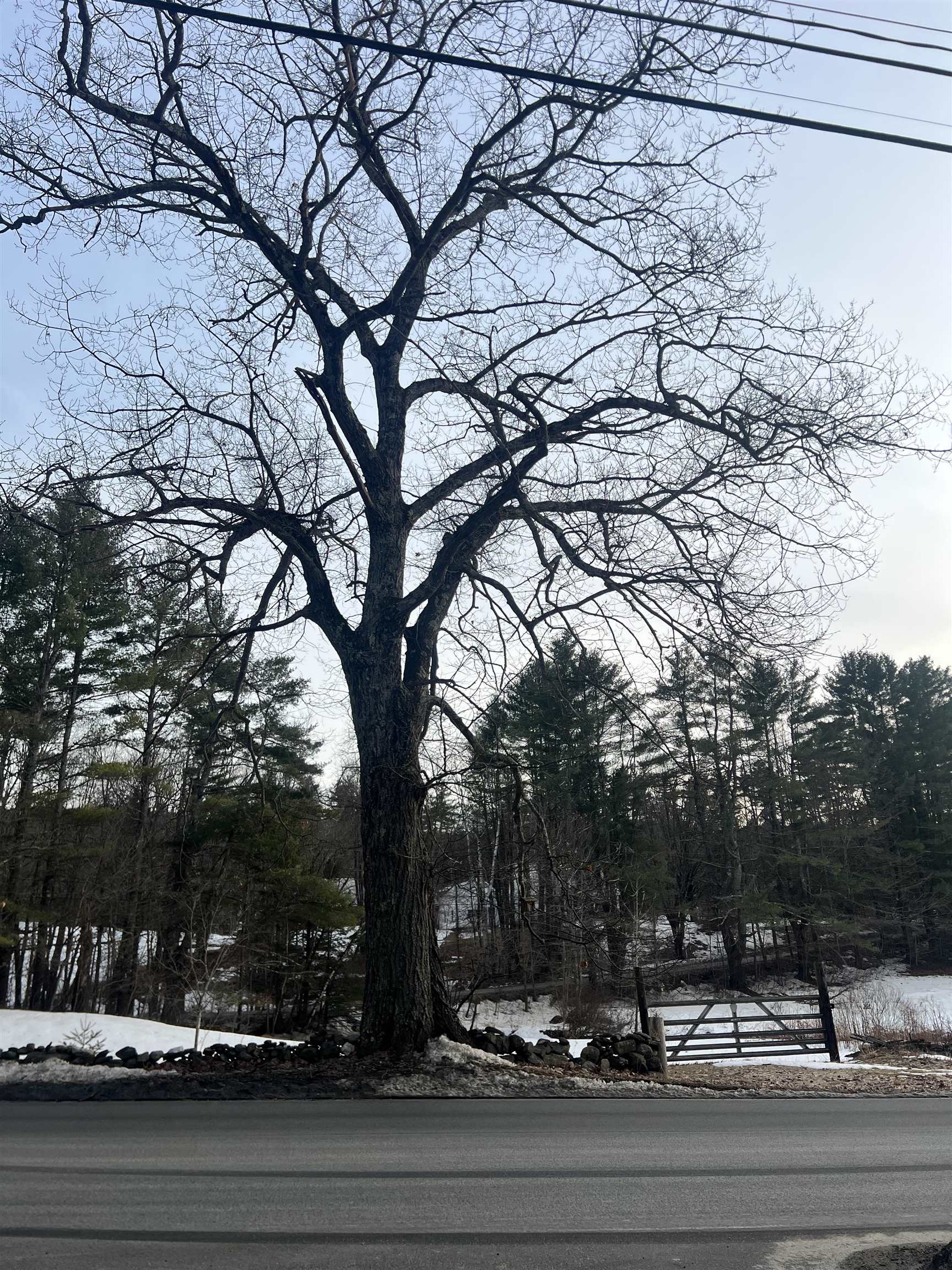 Charlestown NH Land for sale $$49,000 | 2.9 Acres  | Price Per Acre $0 