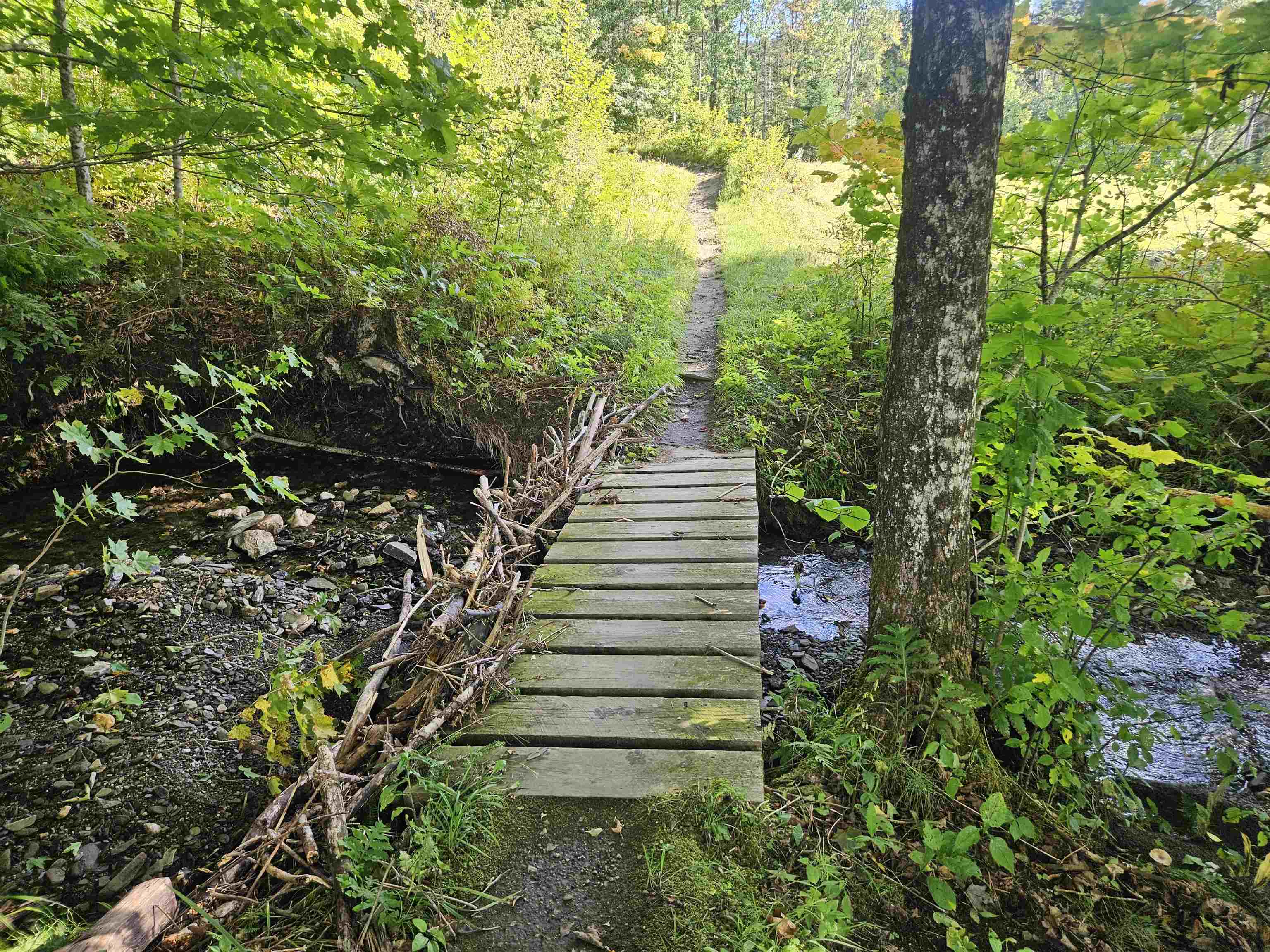 Homes for sale in Burke, VT | 1230 Pinkham Rd, Burke, VT 05832 | MLS# 5034864