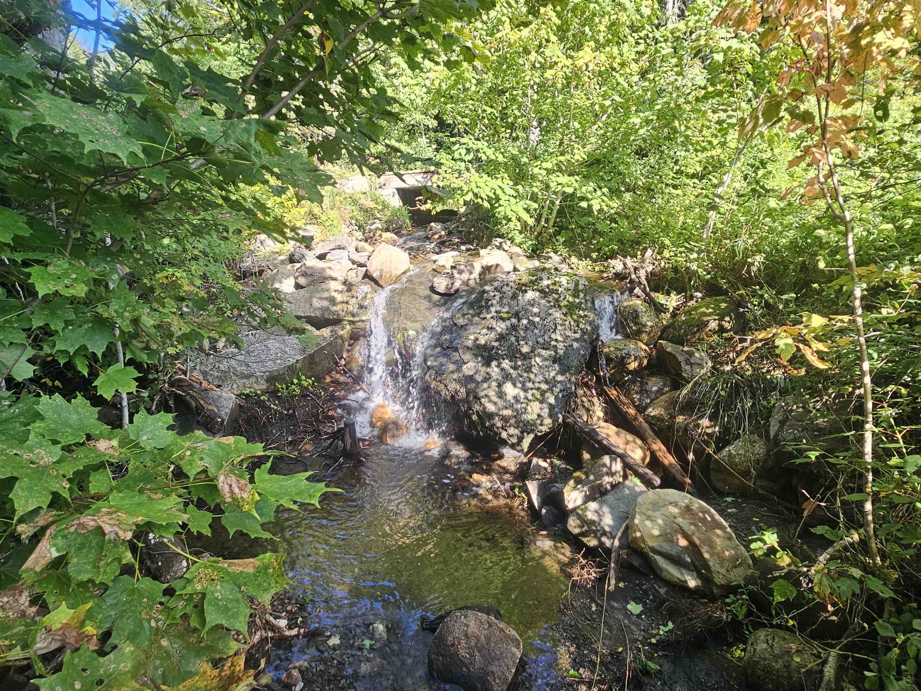 Homes for sale in Burke, VT | 1230 Pinkham Rd, Burke, VT 05832 | MLS# 5034864