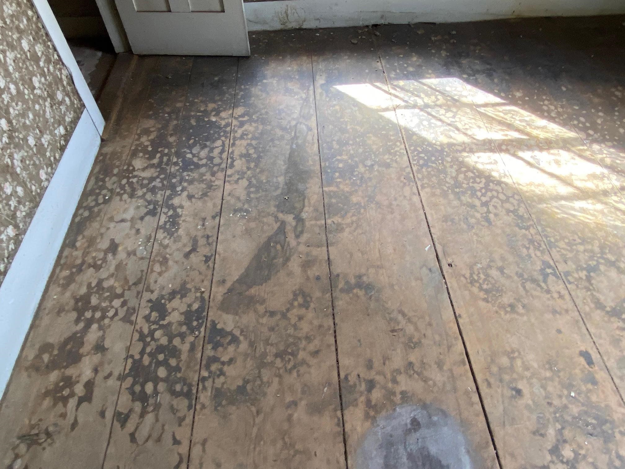 Original wide board floors throughout