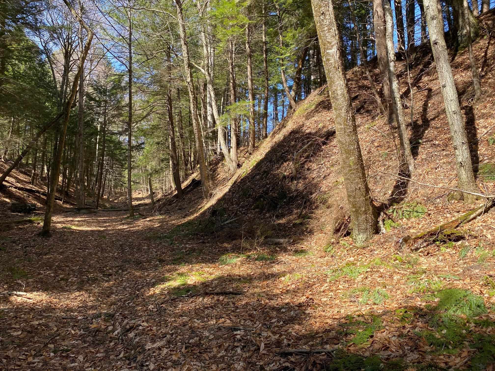 Old roadway bordering the land for hundreds of feet, great for walking or horses etc