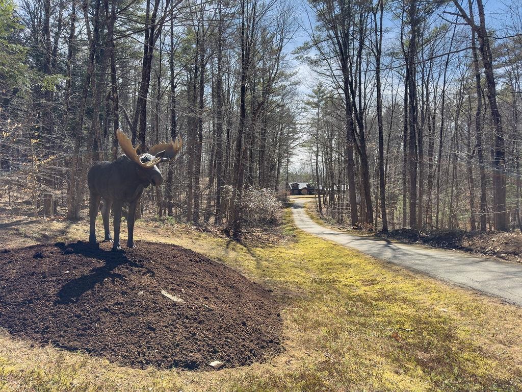 MLS 5035081: 36 Old French Mill Road, Barrington NH