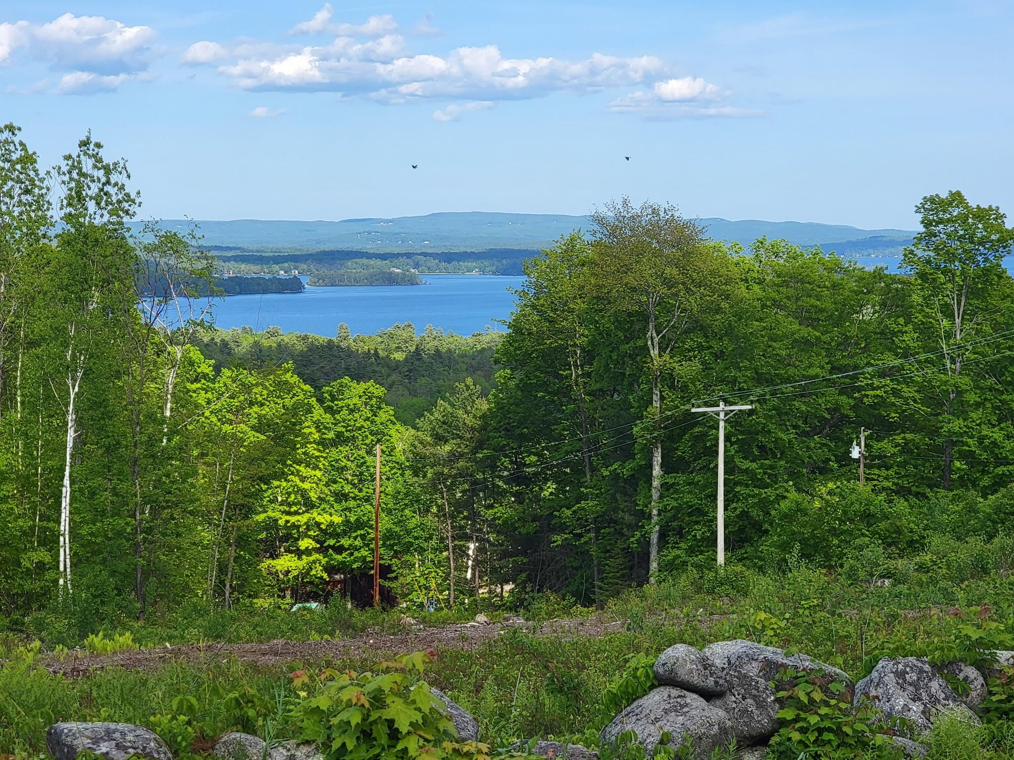 MLS #5035089 image #0