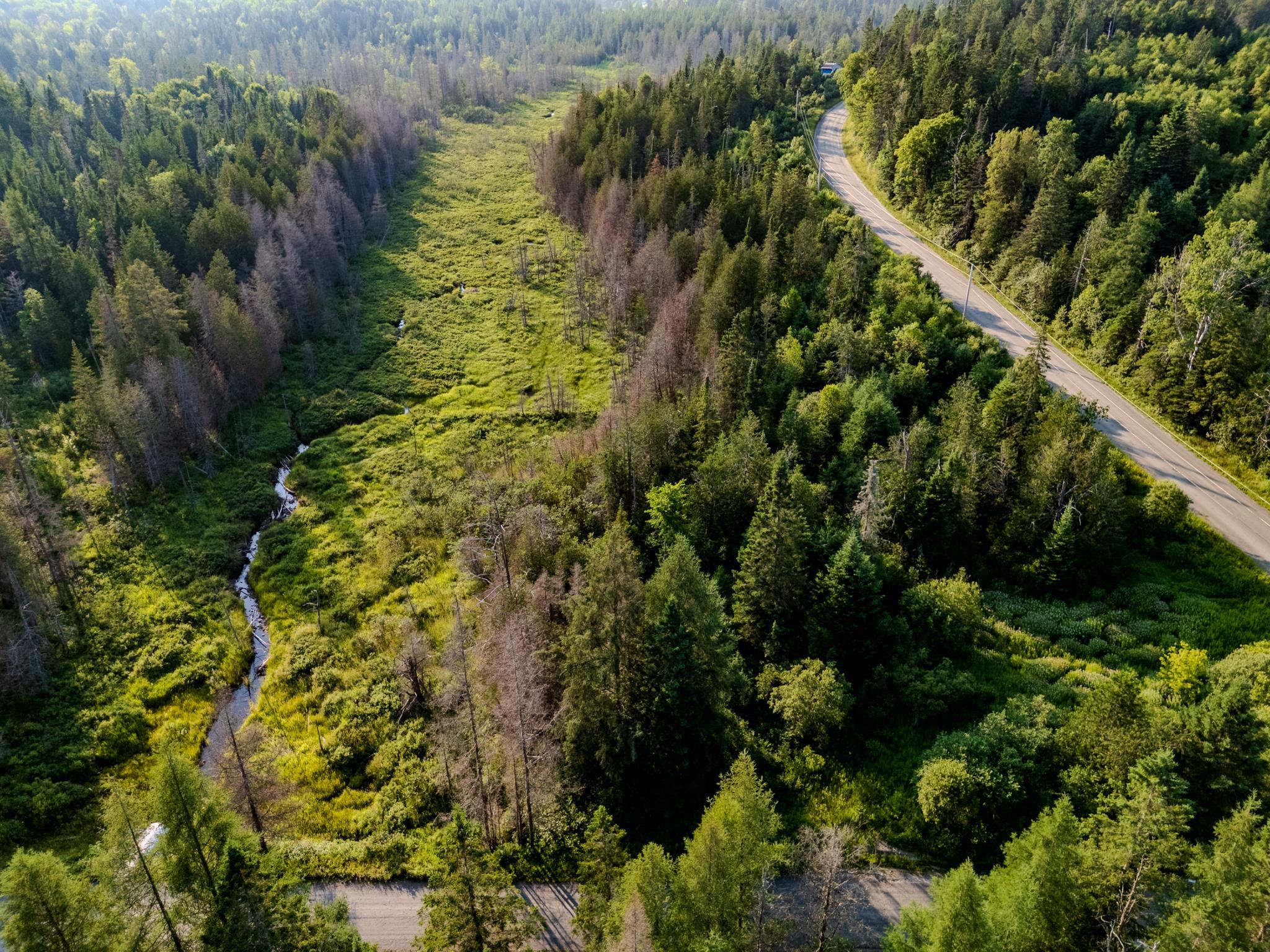 Homes for sale in Walden, VT | 00 Watson Rd, Walden, VT 05843 | MLS# 5035145