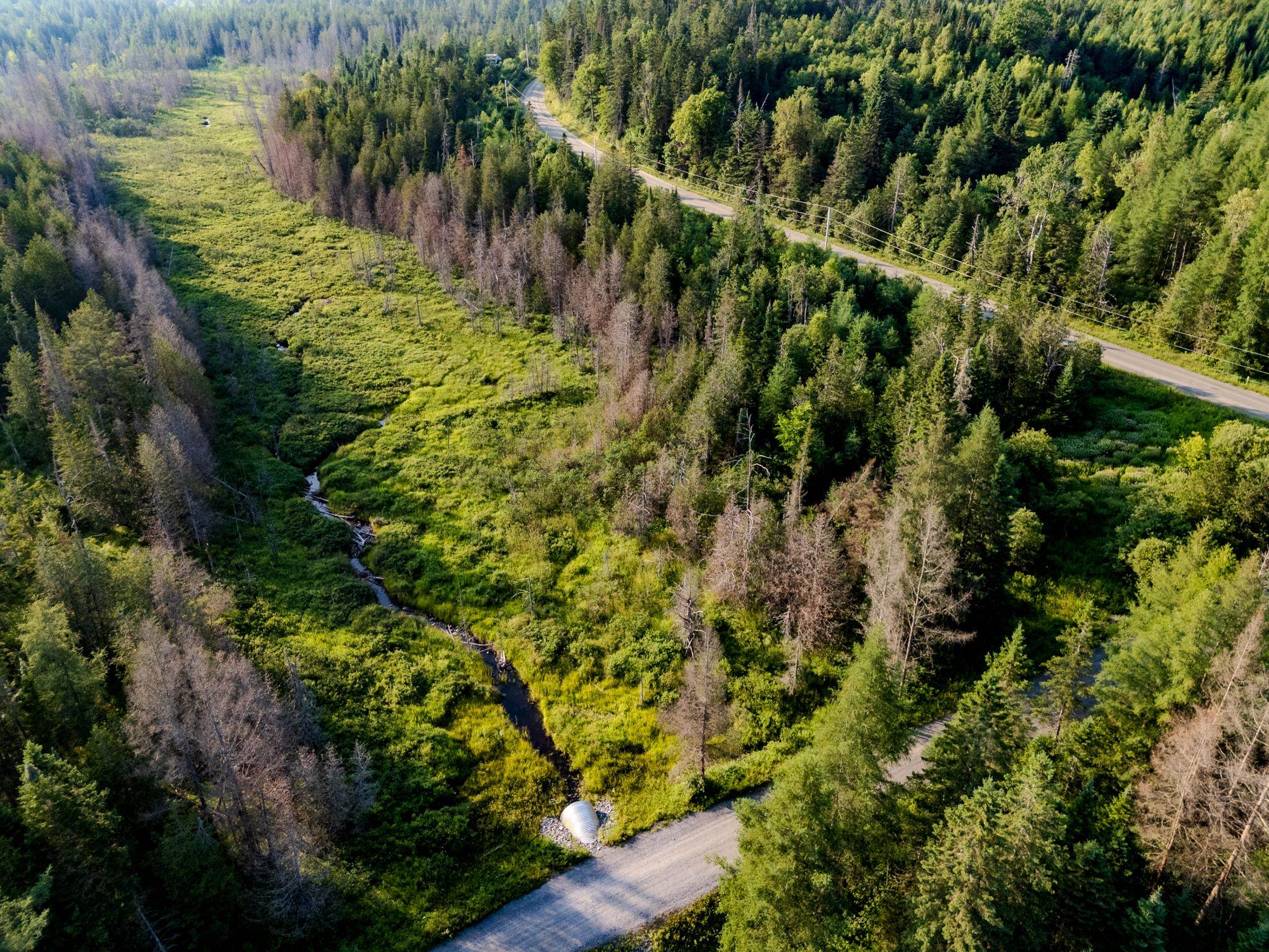 Homes for sale in Walden, VT | 00 Watson Rd, Walden, VT 05843 | MLS# 5035145