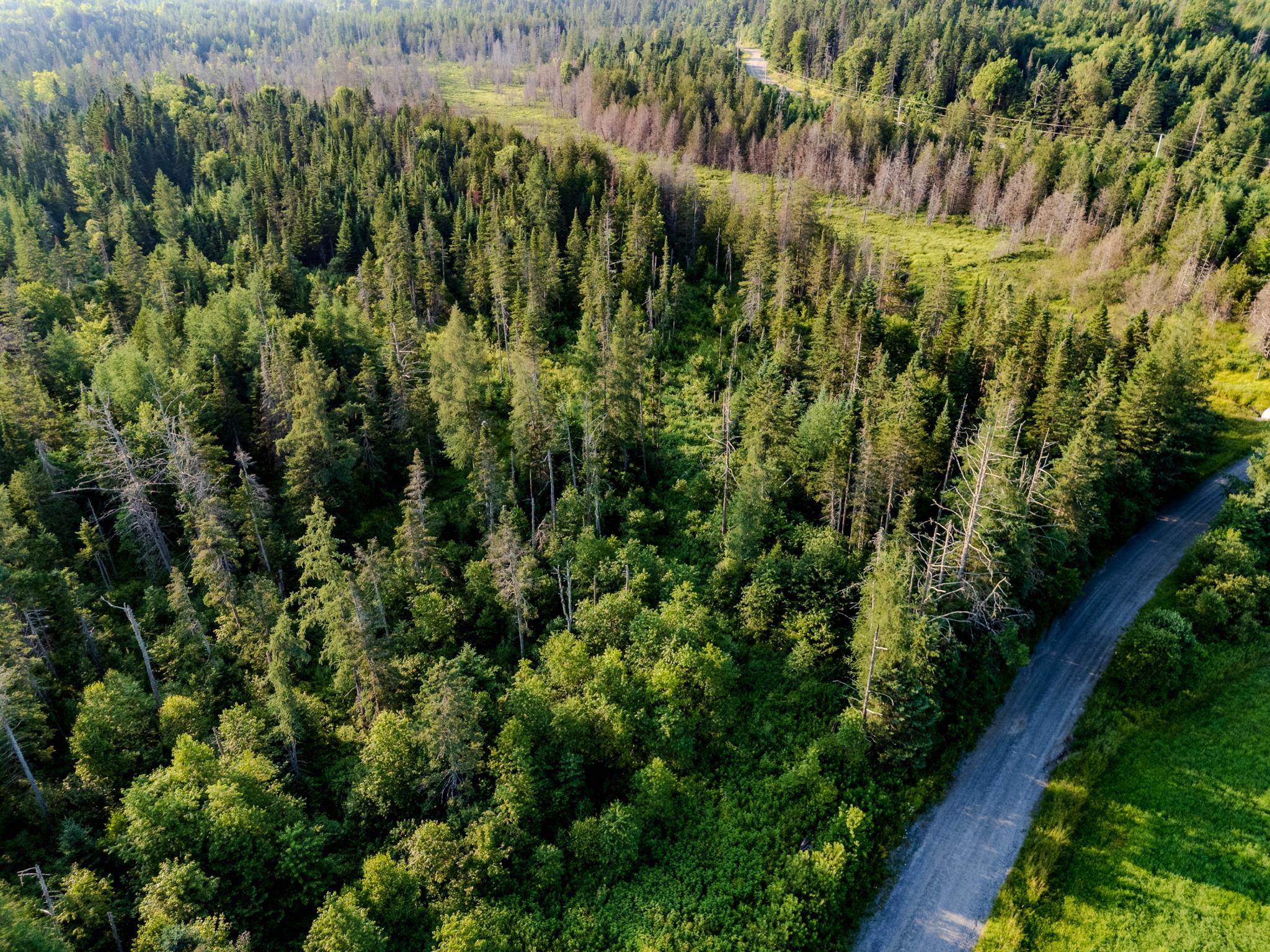 Homes for sale in Walden, VT | 00 Watson Rd, Walden, VT 05843 | MLS# 5035145