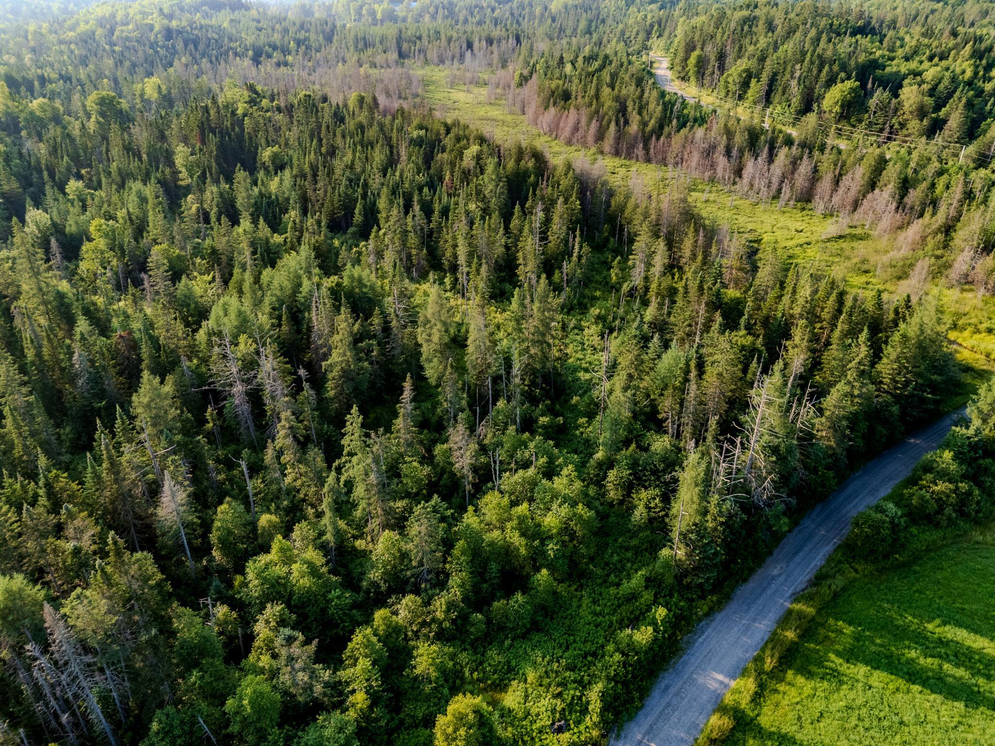 Homes for sale in Walden, VT | 00 Watson Rd, Walden, VT 05843 | MLS# 5035145