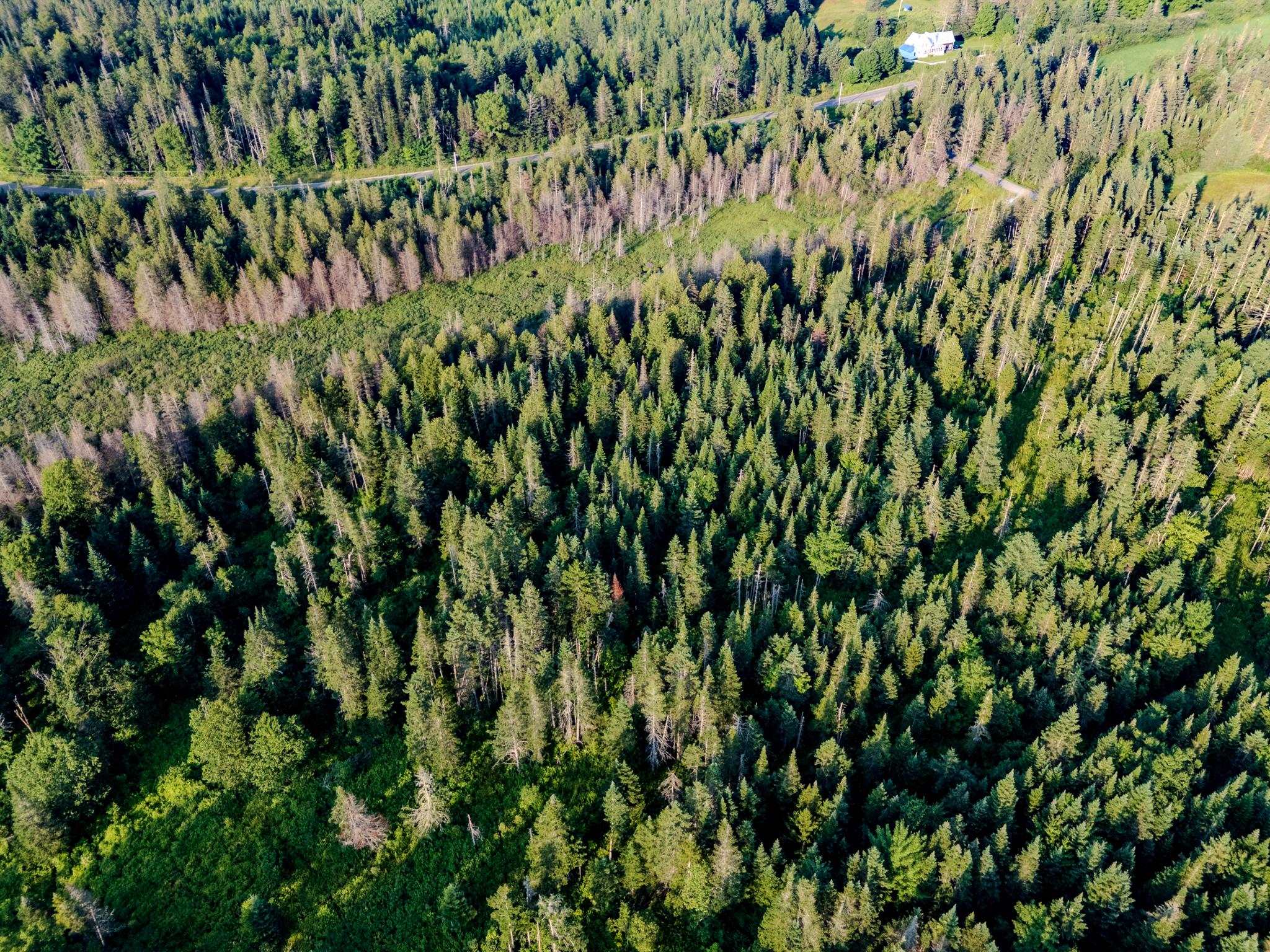 Homes for sale in Walden, VT | 00 Watson Rd, Walden, VT 05843 | MLS# 5035145