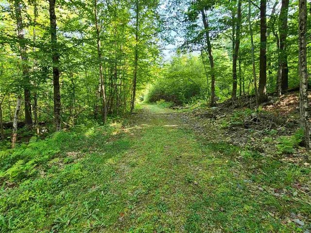 MLS #5035172 image #12