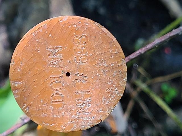 MLS #5035172 image #14