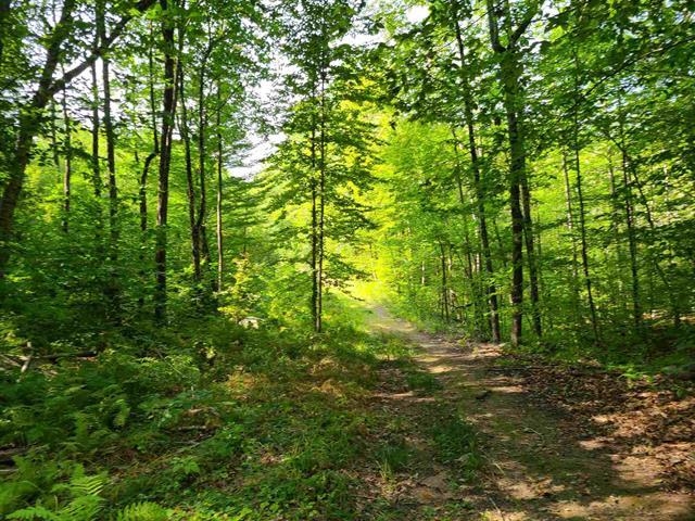 MLS #5035172 image #17