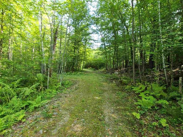 MLS #5035172 image #7