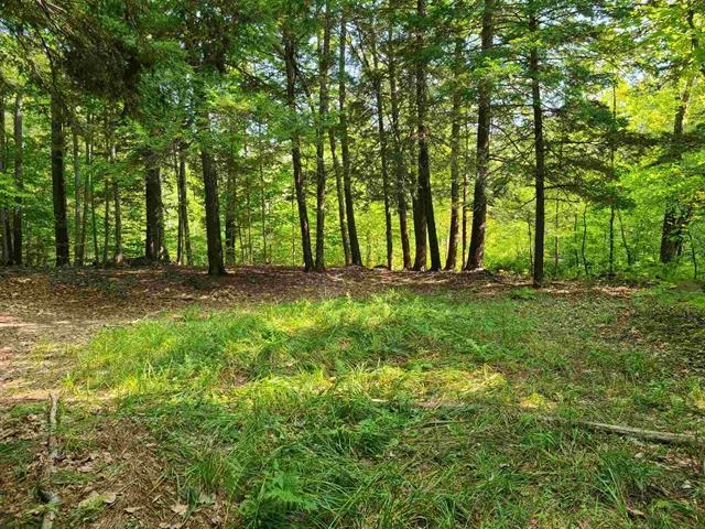 MLS #5035172 image #9