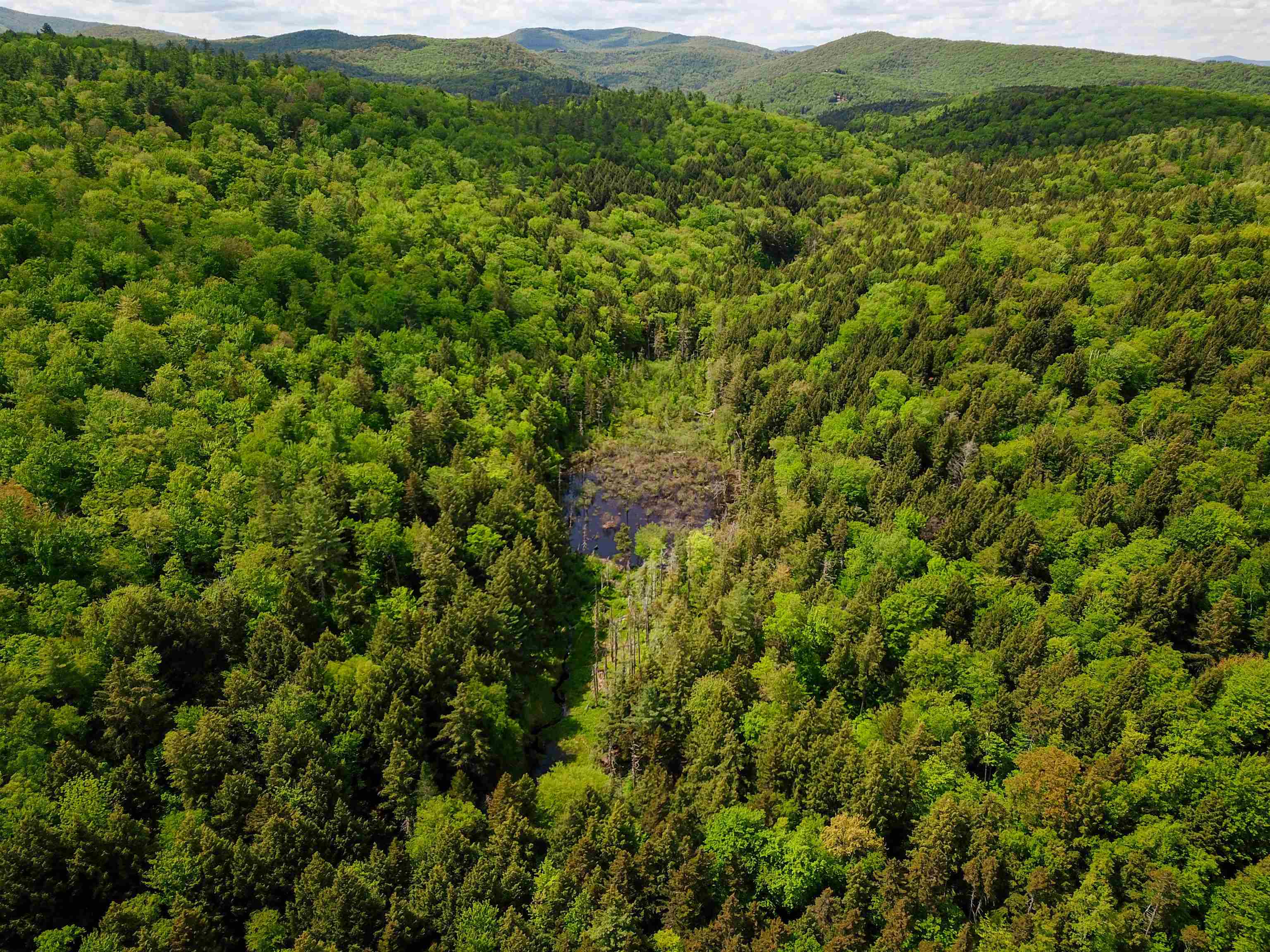 Homes for sale in Jamaica, VT | 184 Schoolhouse Rd, Jamaica, VT 05343 | MLS# 5035357