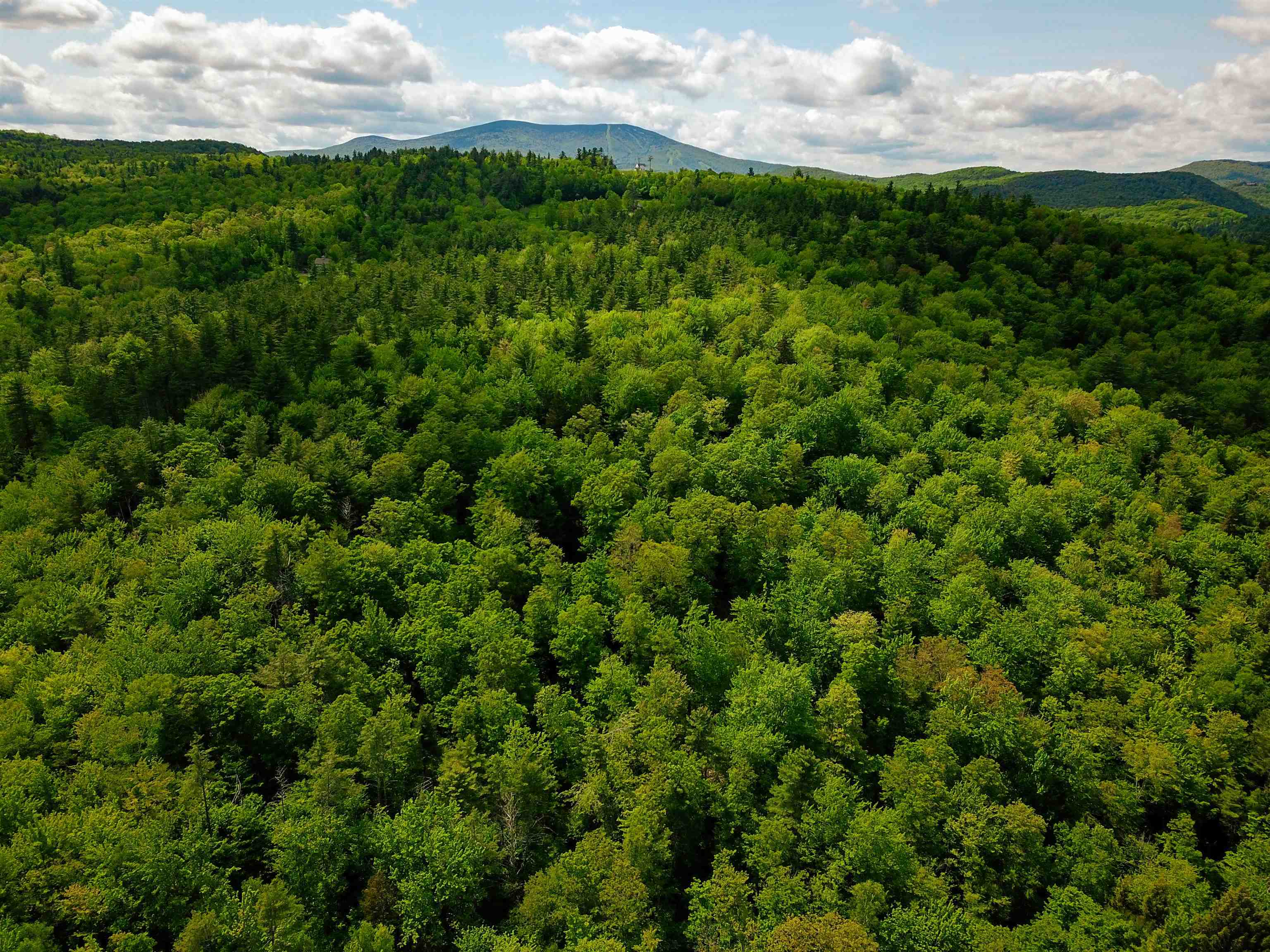 Homes for sale in Jamaica, VT | 184 Schoolhouse Rd, Jamaica, VT 05343 | MLS# 5035357