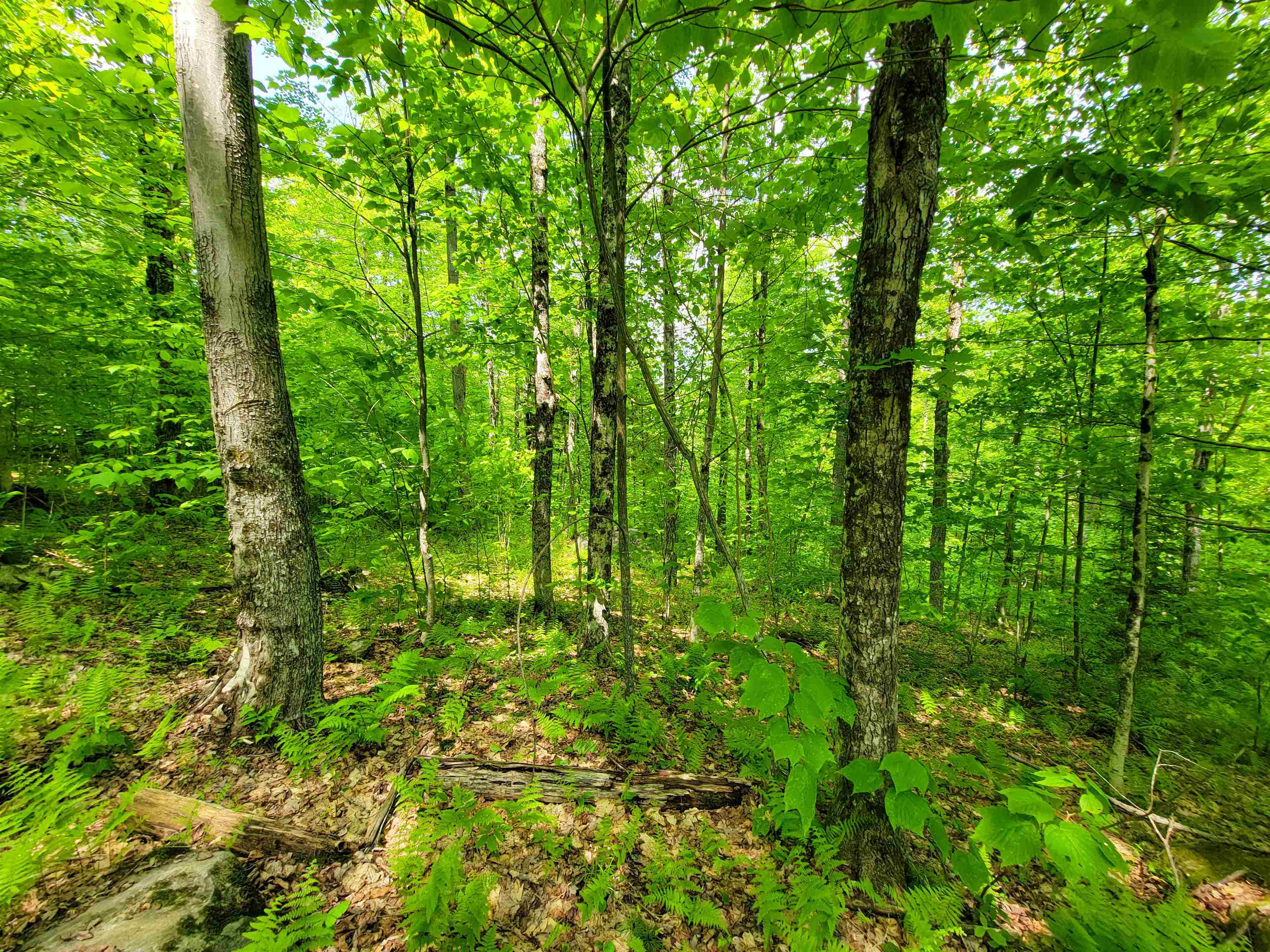 Homes for sale in Jamaica, VT | 184 Schoolhouse Rd, Jamaica, VT 05343 | MLS# 5035357