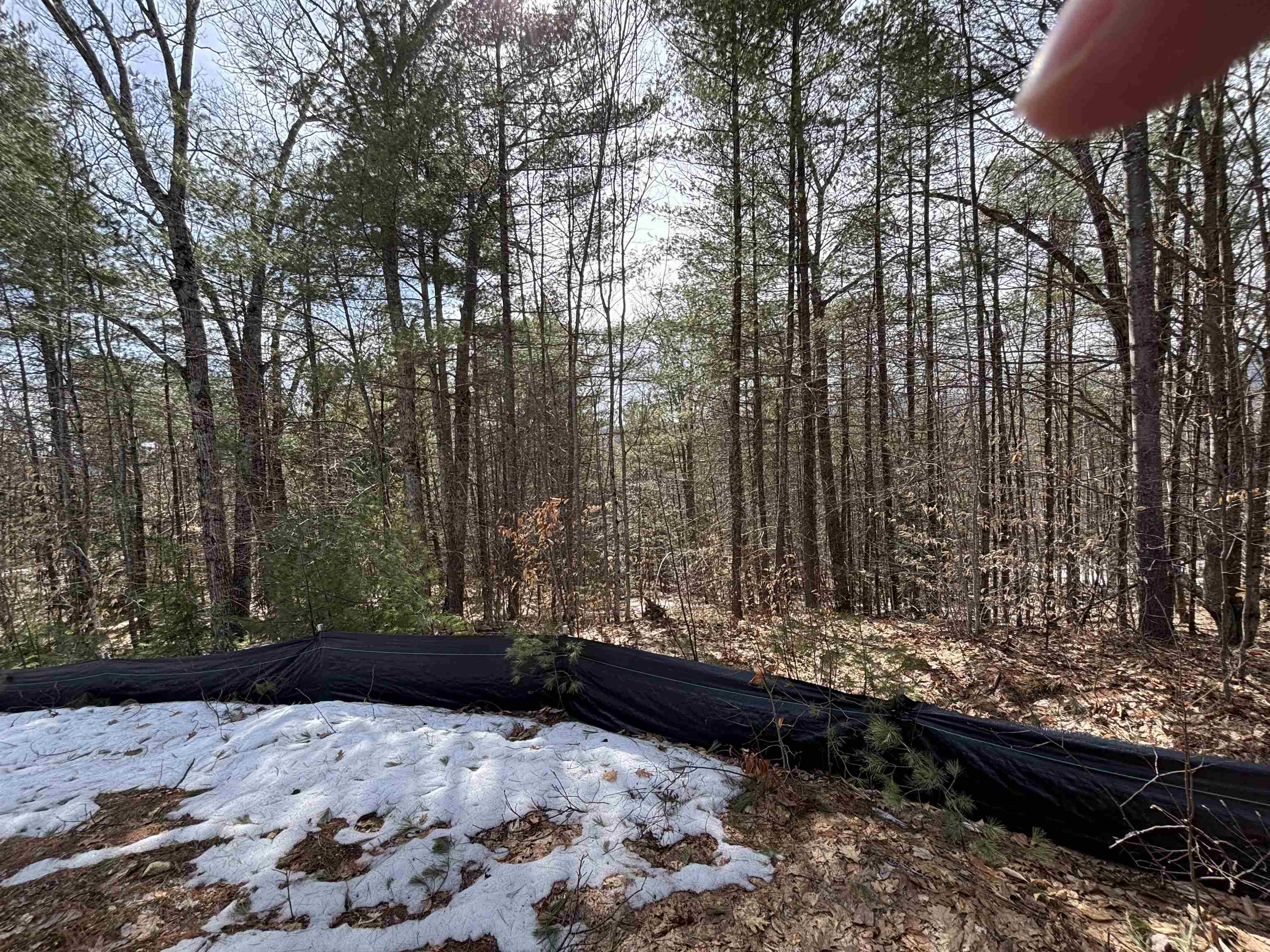 Homes for sale in Conway, NH | 143 Holly Ridge Ln, Conway, NH 03818 | MLS# 5035424