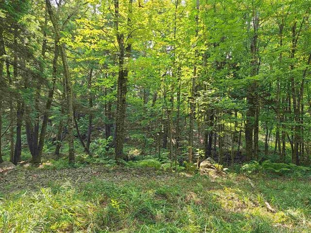 MLS #5035442 image #11