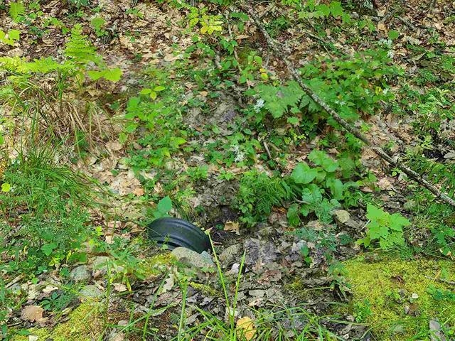 MLS #5035442 image #14