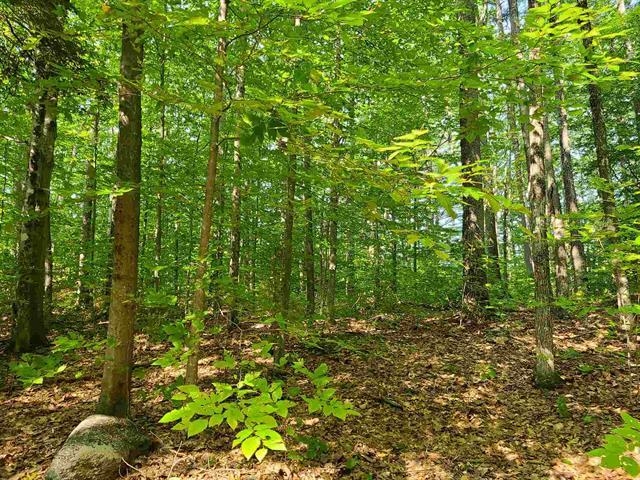 MLS #5035442 image #16