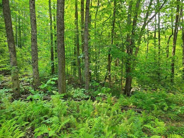 MLS #5035442 image #17