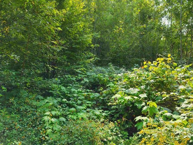 MLS #5035442 image #19