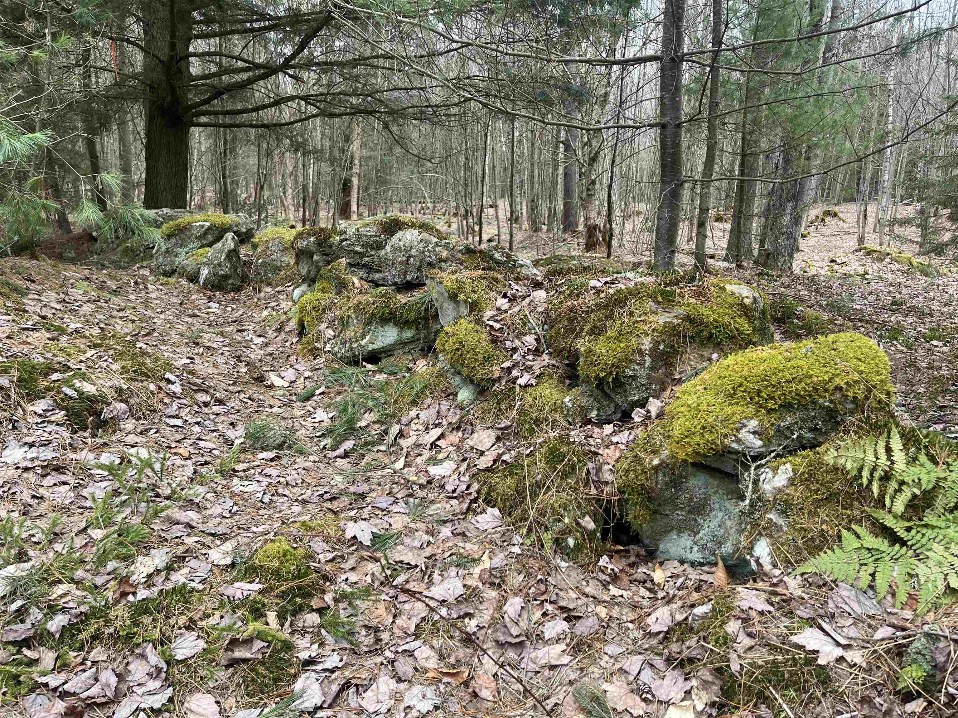 Homes for sale in Hyde Park, VT | 4 & 5 Haley Dr, Hyde Park, VT 05655 | MLS# 5035499