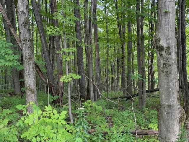 Homes for sale in Montgomery, VT | 00 Westhill Rd, Montgomery, VT 05470 | MLS# 5035503