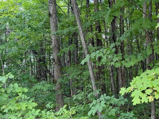 Homes for sale in Montgomery, VT | 00 Westhill Rd, Montgomery, VT 05470 | MLS# 5035503