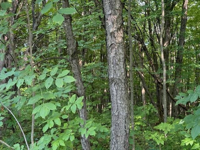 Homes for sale in Montgomery, VT | 00 Westhill Rd, Montgomery, VT 05470 | MLS# 5035503