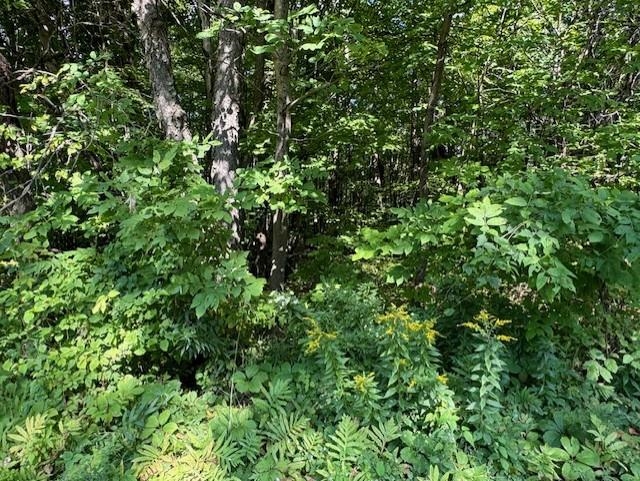 Homes for sale in Montgomery, VT | 00 Westhill Rd, Montgomery, VT 05470 | MLS# 5035503