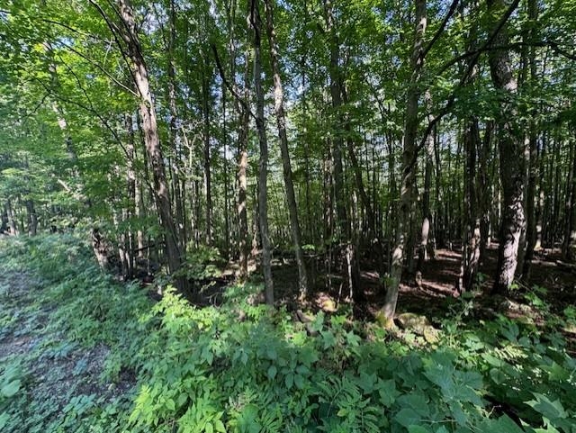 Homes for sale in Montgomery, VT | 00 Westhill Rd, Montgomery, VT 05470 | MLS# 5035503