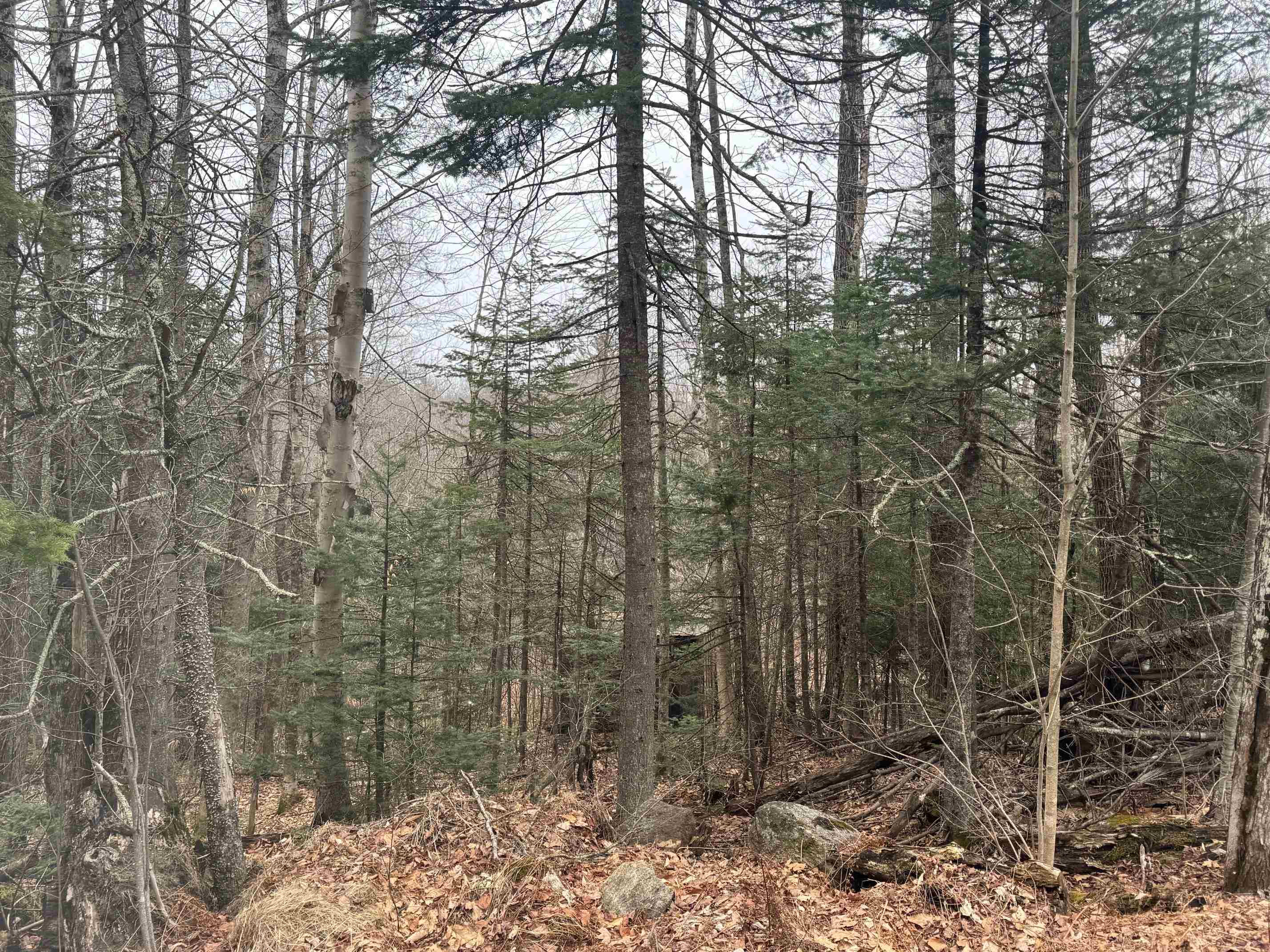 SPRINGFIELD NH LAND  for sale $$55,000 | 1.37 Acres  | Price Per Acre $0