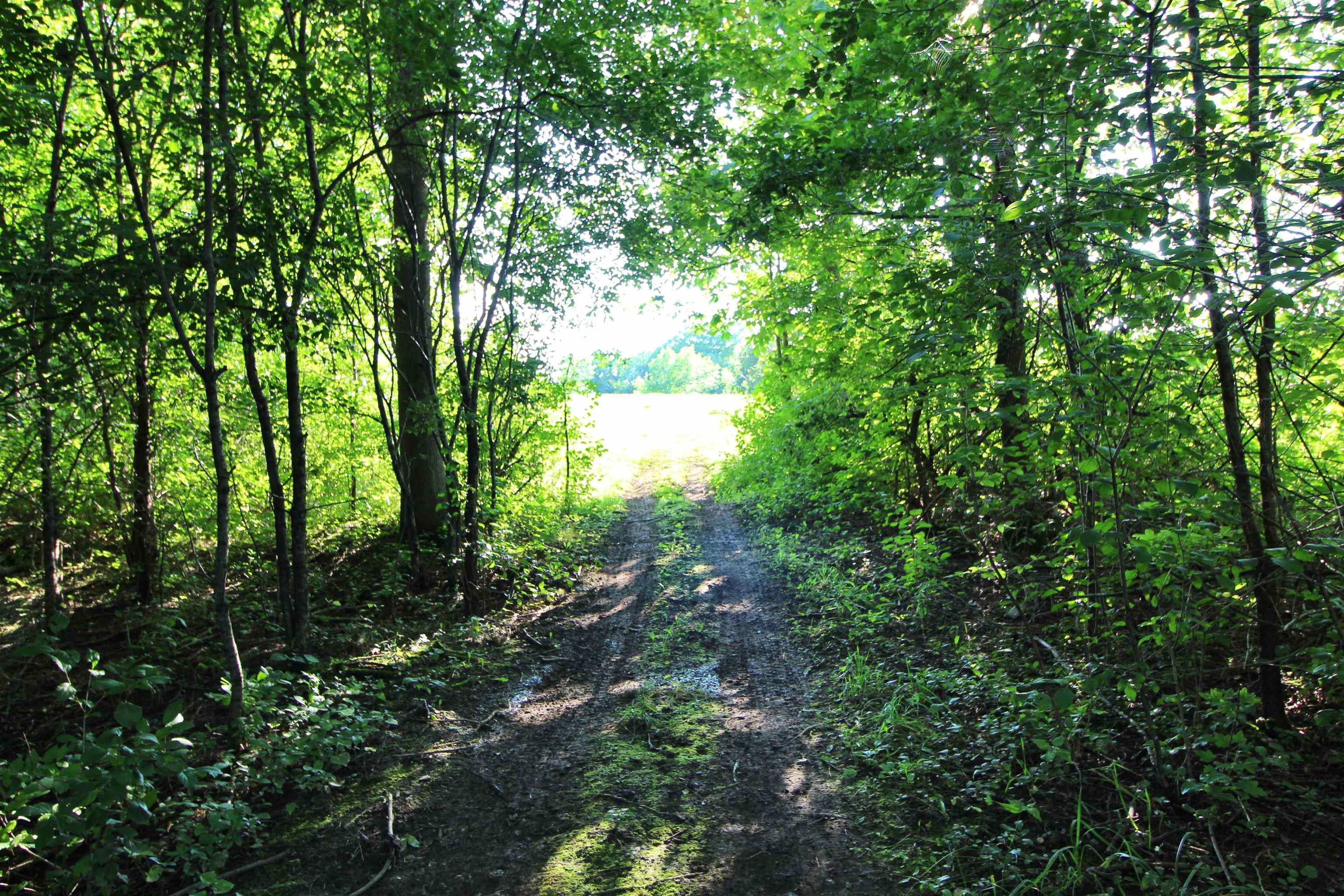 Homes for sale in Grand Isle, VT | 27 Faywood Rd, Grand Isle, VT 05458 | MLS# 5035550