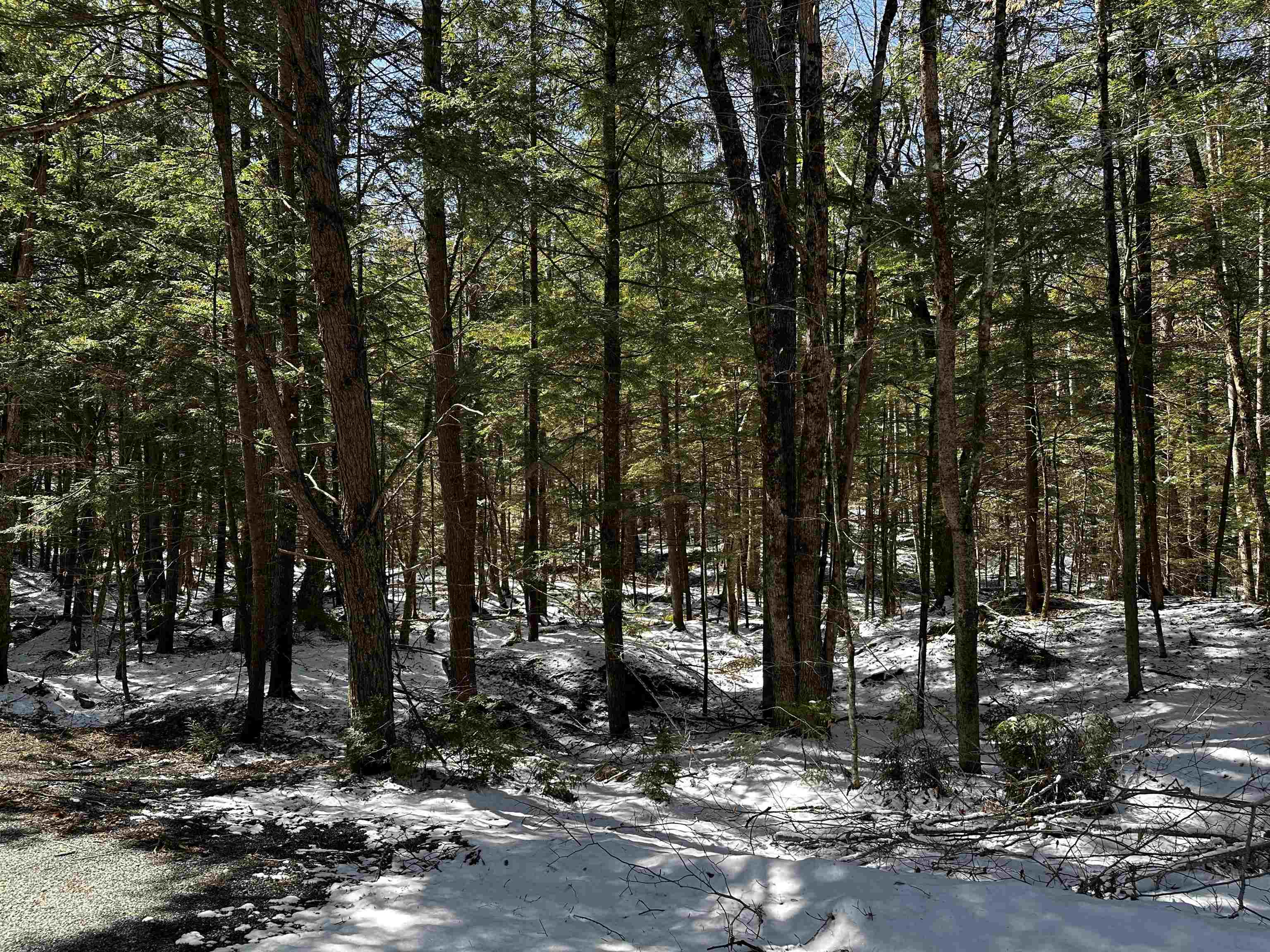 Village of Eastman in Town of Enfield NH Land for sale $23,000 | 1.07 Acres  | Price Per Acre $0 