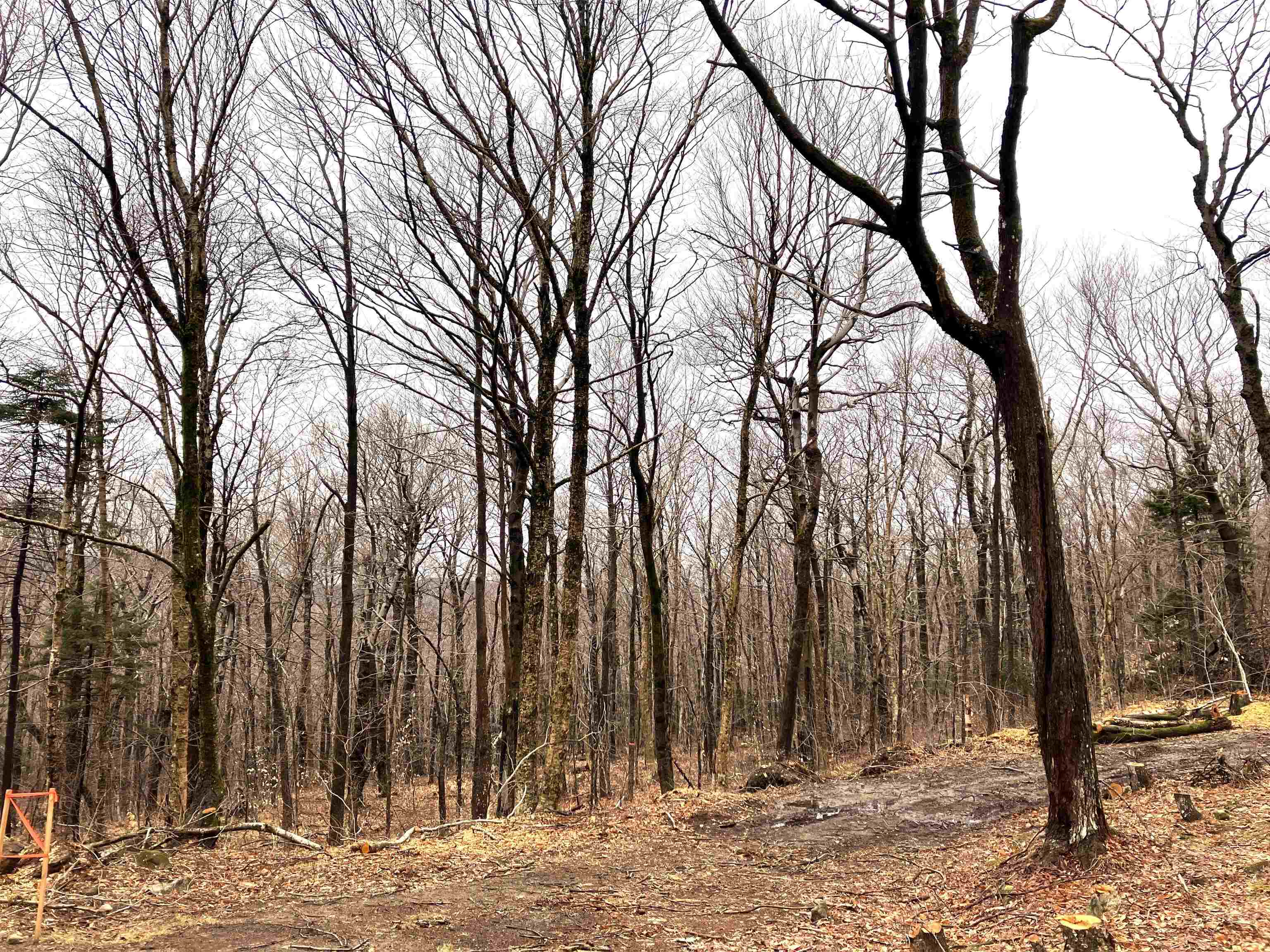 Homes for sale in Wilmington, VT | 406 Fox Mt Rd, Wilmington, VT 05363 | MLS# 5035688