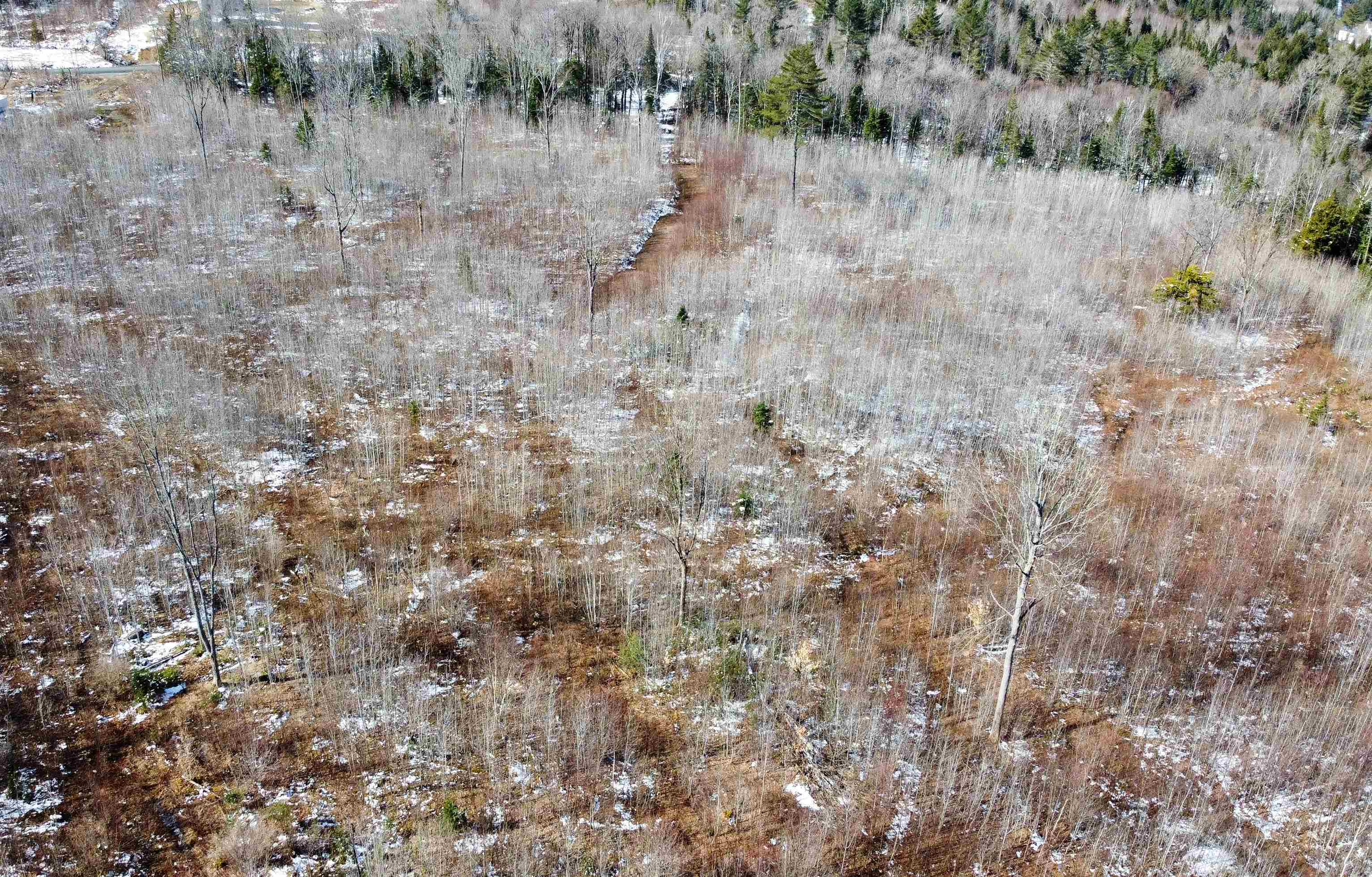 Homes for sale in Concord, VT | 00 Long Hill Rd, Concord, VT 05824 | MLS# 5035746