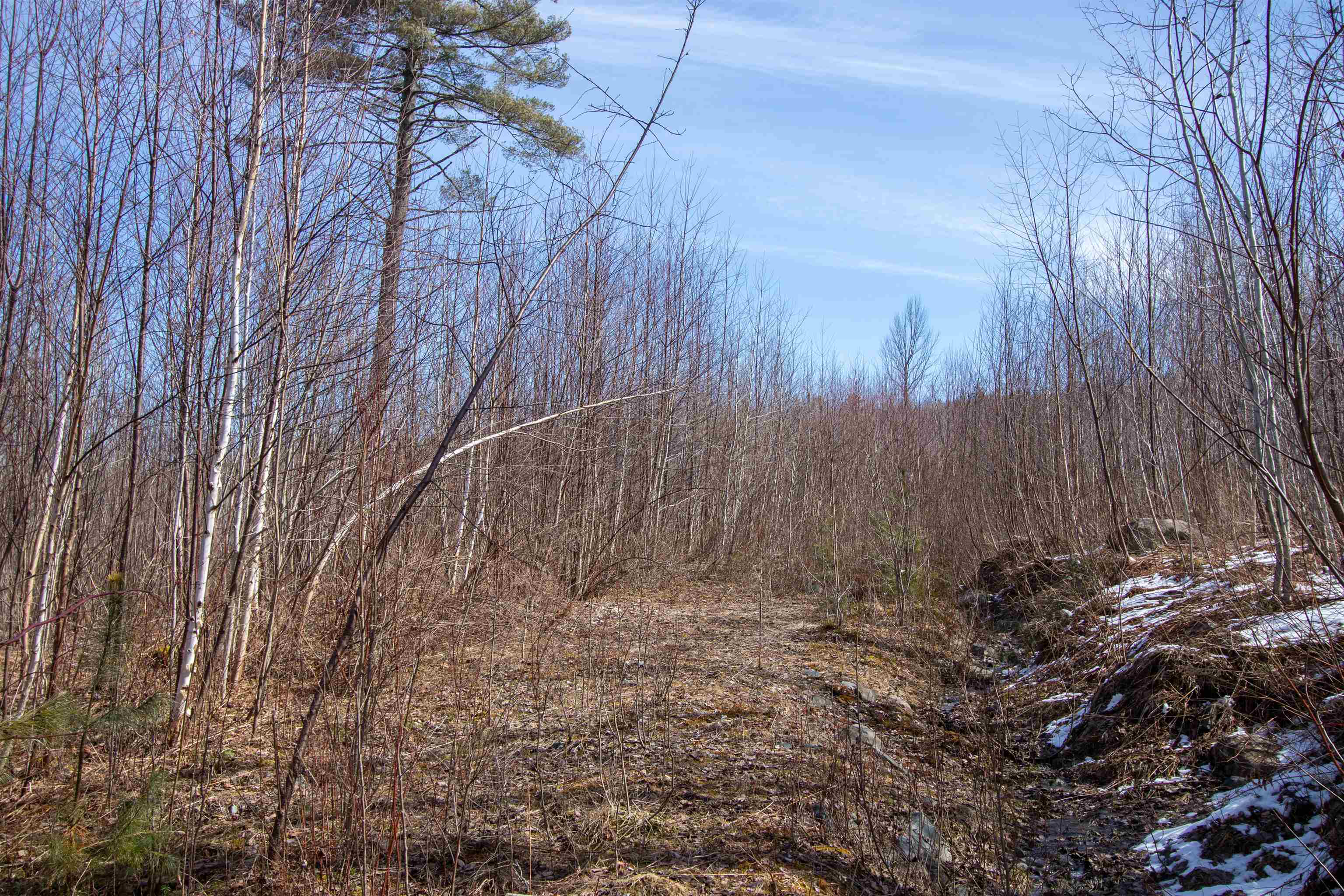 Homes for sale in Concord, VT | 00 Long Hill Rd, Concord, VT 05824 | MLS# 5035746