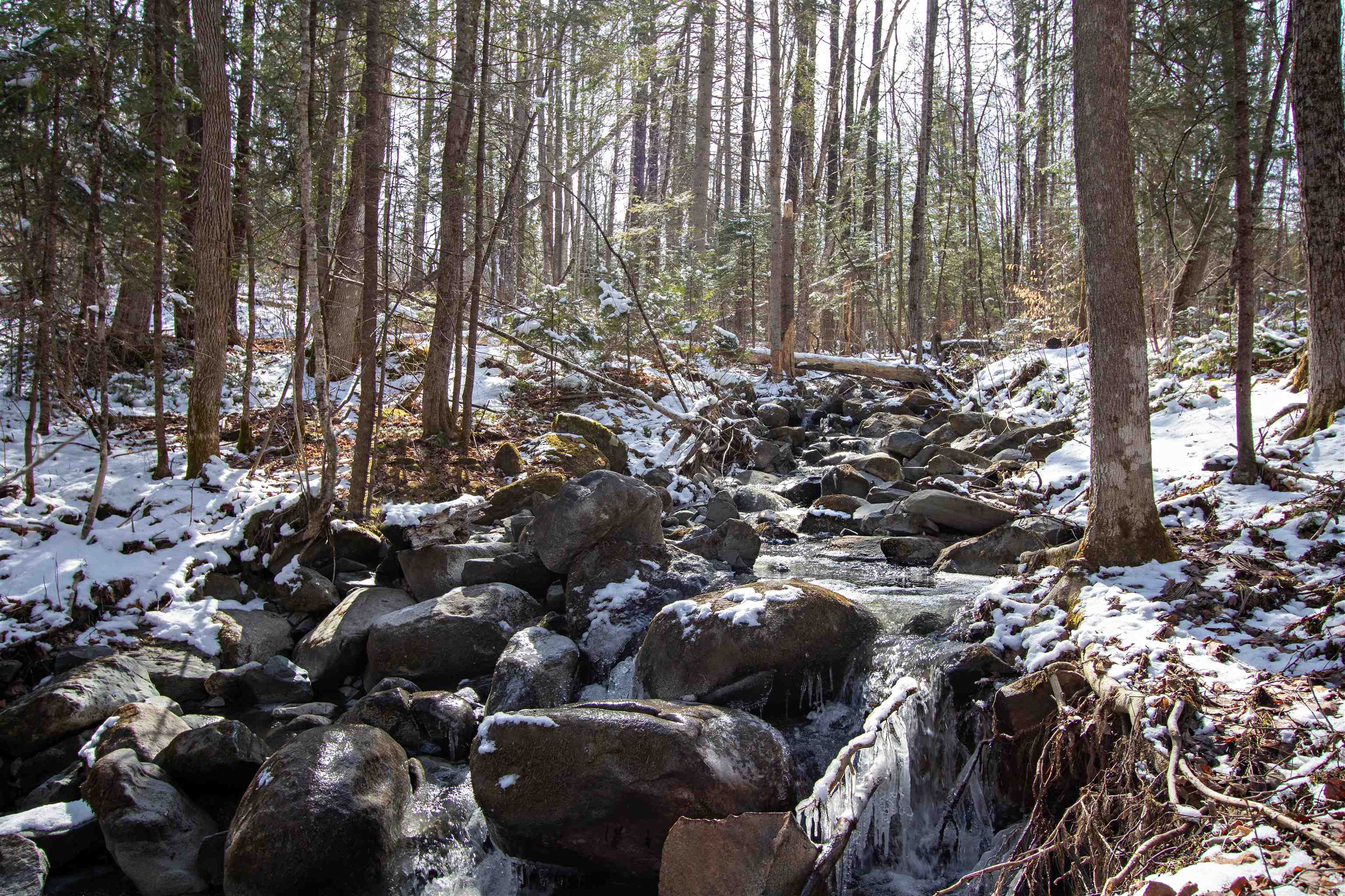 Homes for sale in Concord, VT | 00 Long Hill Rd, Concord, VT 05824 | MLS# 5035746