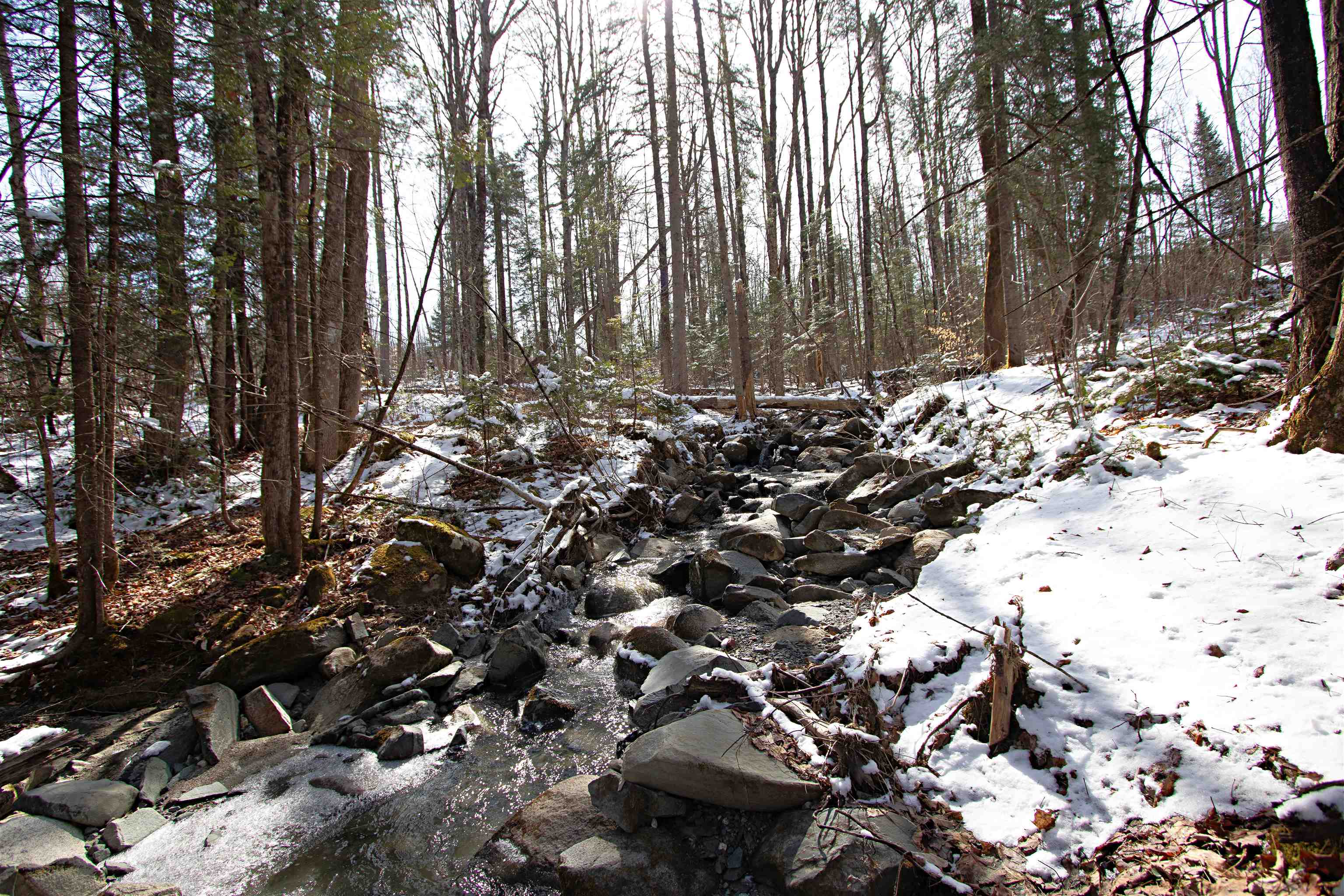 Homes for sale in Concord, VT | 00 Long Hill Rd, Concord, VT 05824 | MLS# 5035746